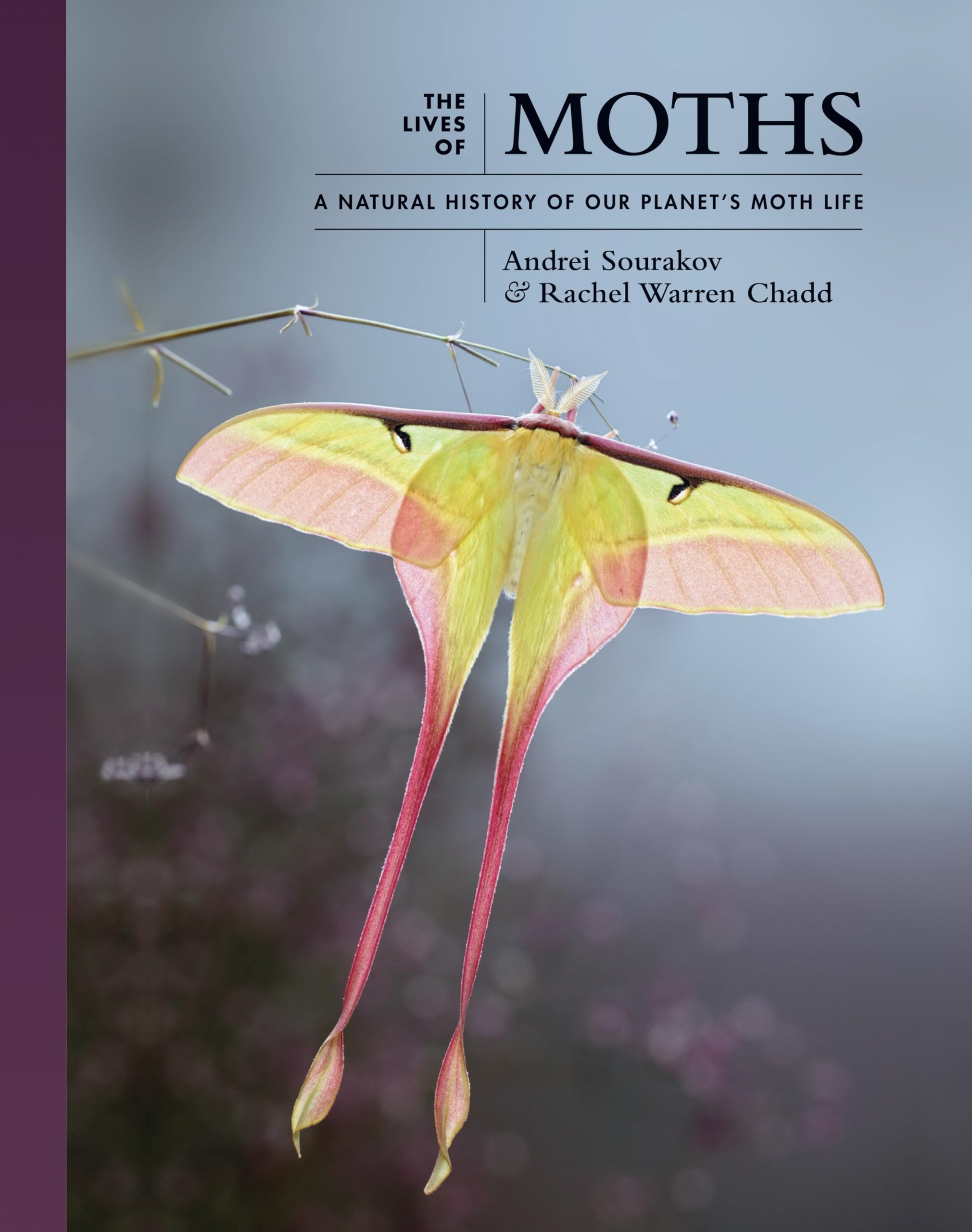 The Lives of Moths: A Natural History of Our Planet's Moth Life (The Lives of the Natural World, 1) Mathematics