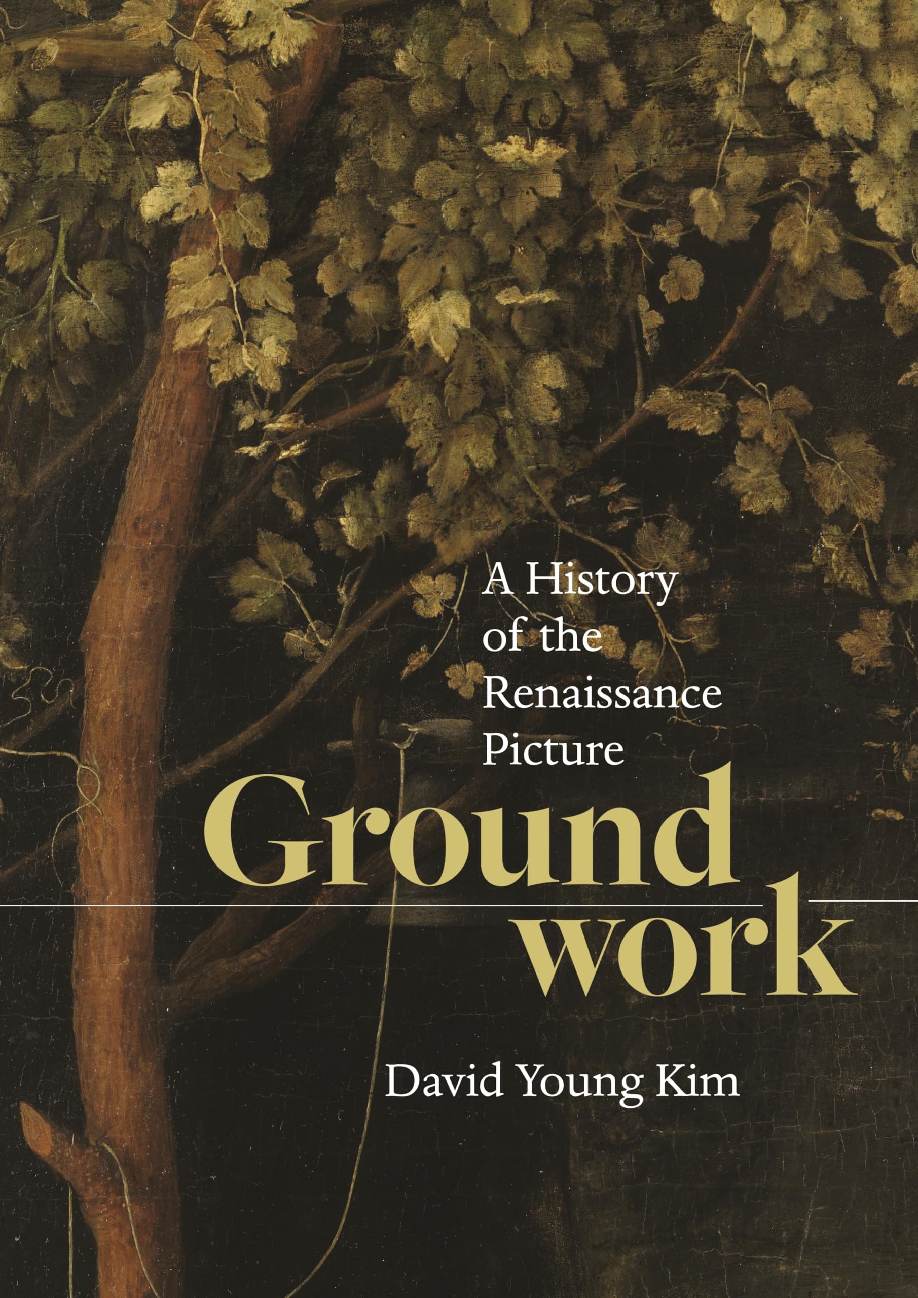Groundwork: A History of the Renaissance Picture Film, Art & Culture