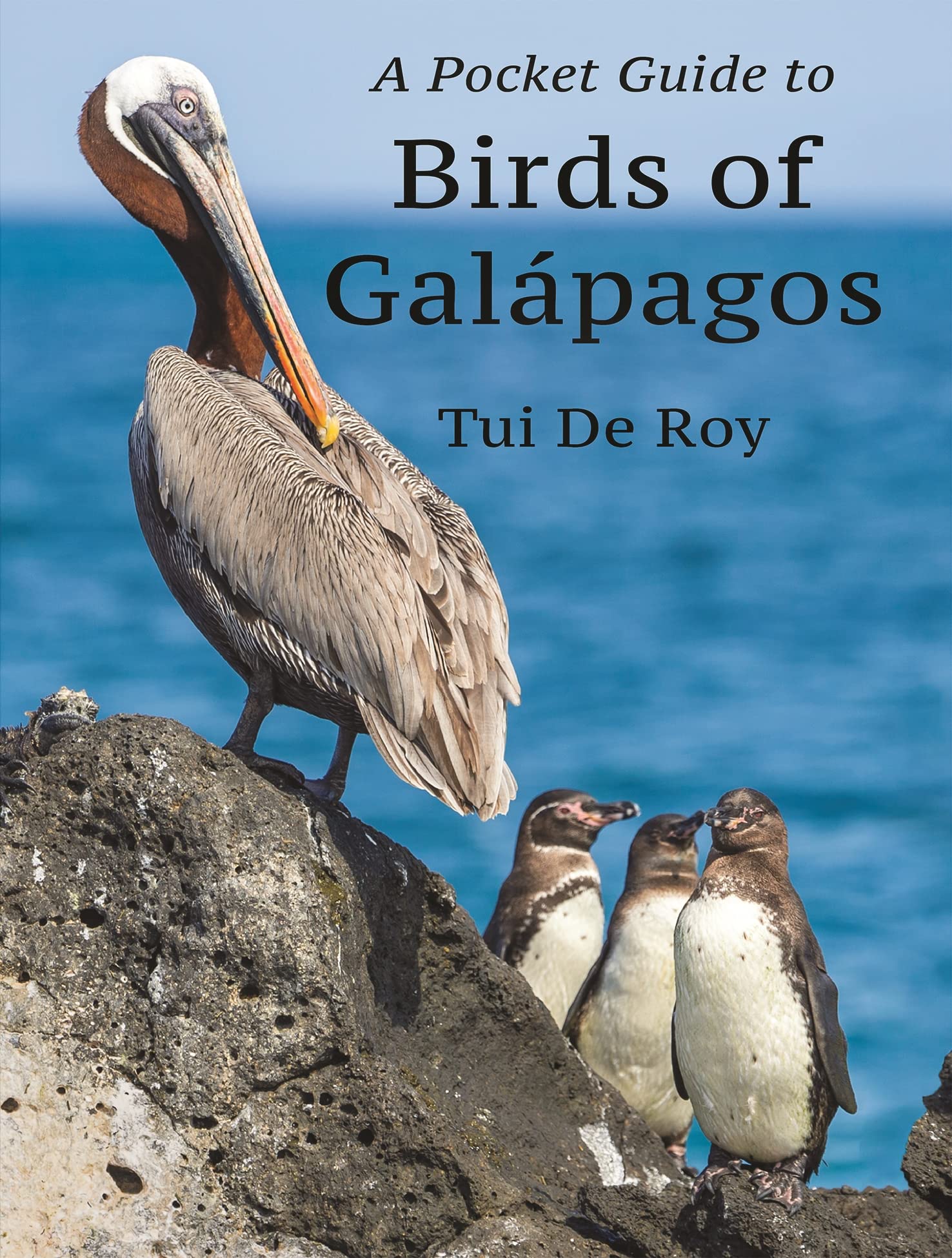 A Pocket Guide to Birds of Galápagos Mathematics