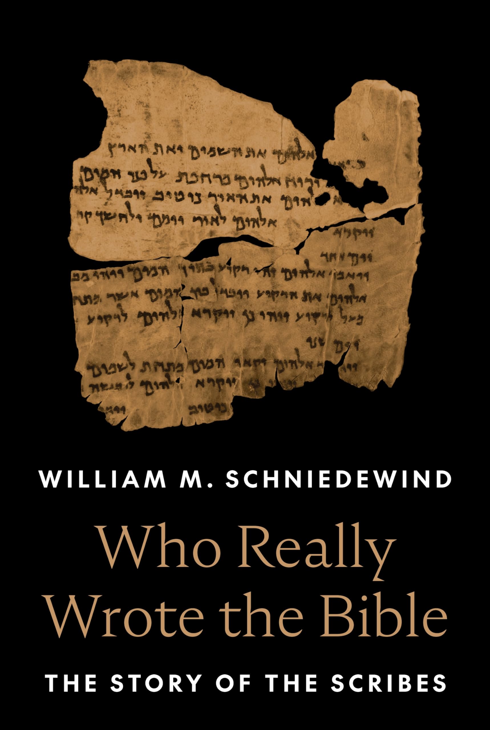 Who Really Wrote the Bible: The Story of the Scribes Social Sciences