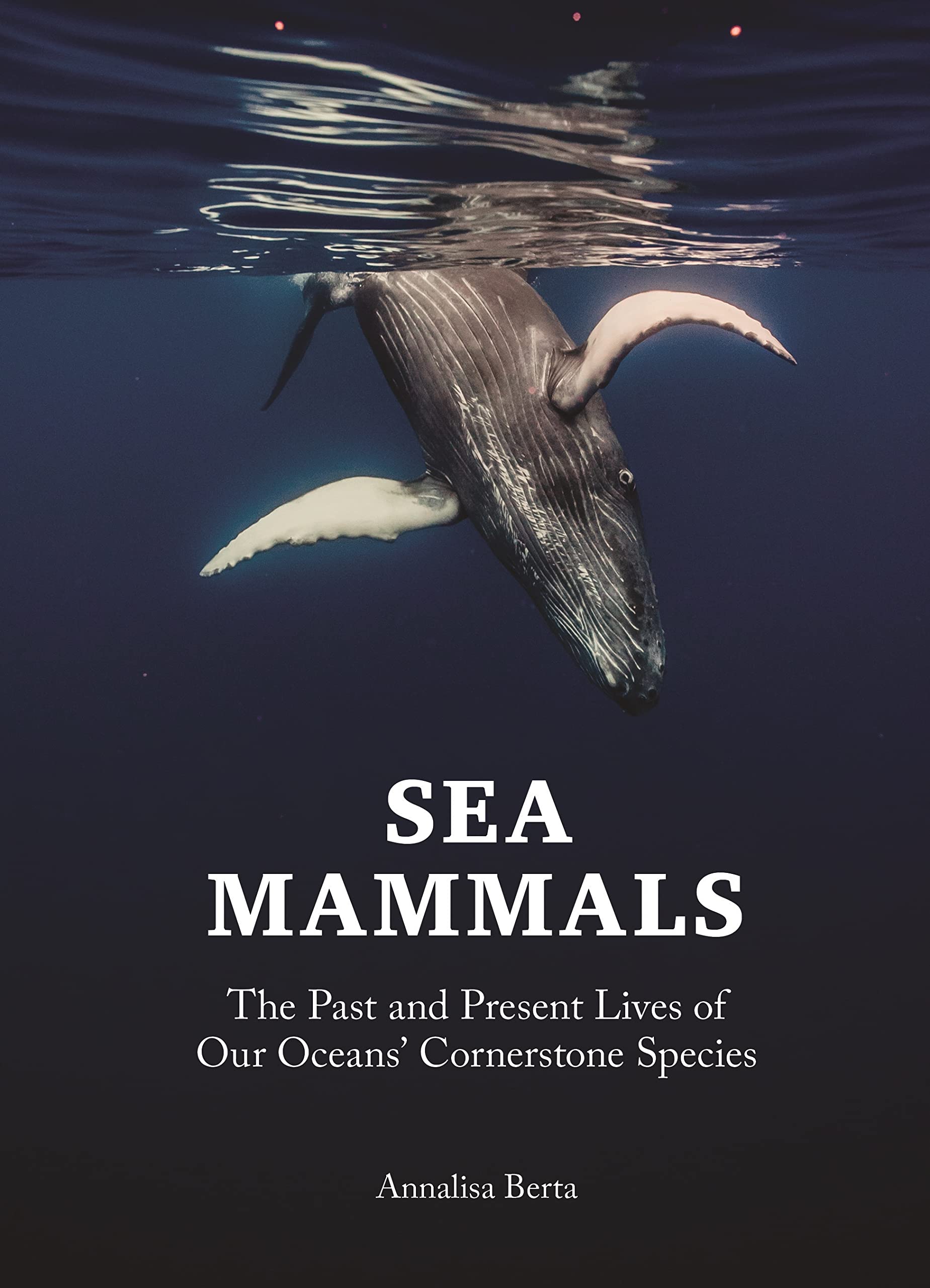 Sea Mammals: The Past and Present Lives of Our Oceans' Cornerstone Species Geology & Geography