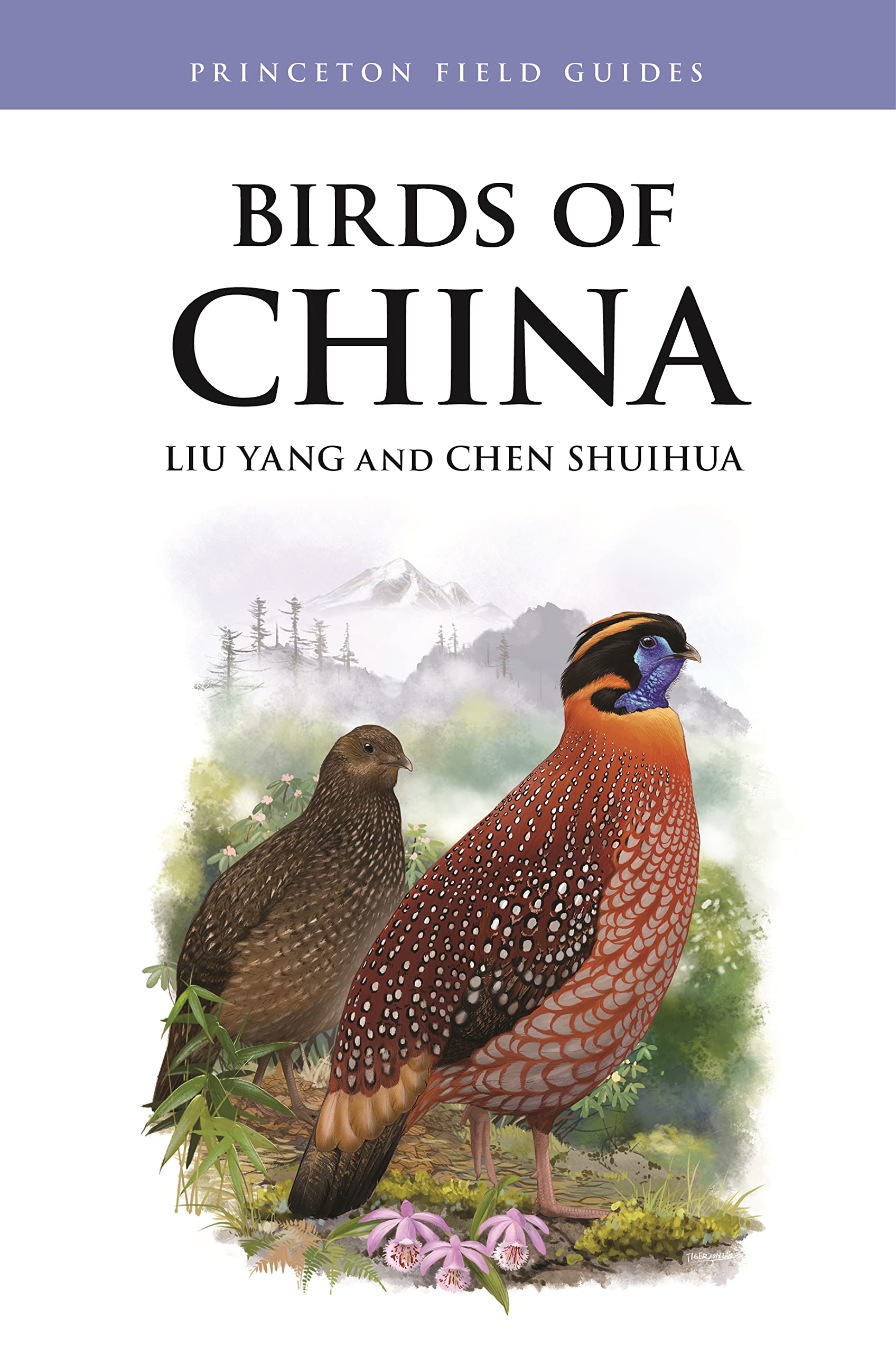 Birds of China (Princeton Field Guides) Mathematics