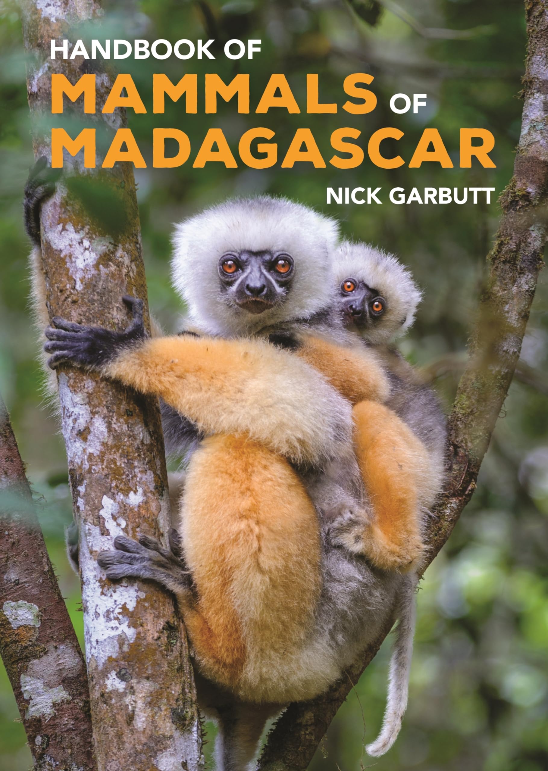 Handbook of Mammals of Madagascar Mathematics