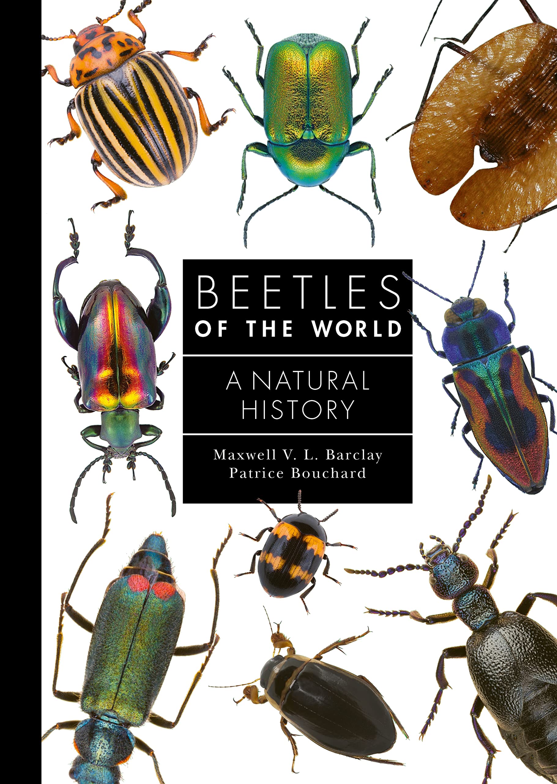 Beetles of the World: A Natural History (Guide to Every Family, 7) Mathematics
