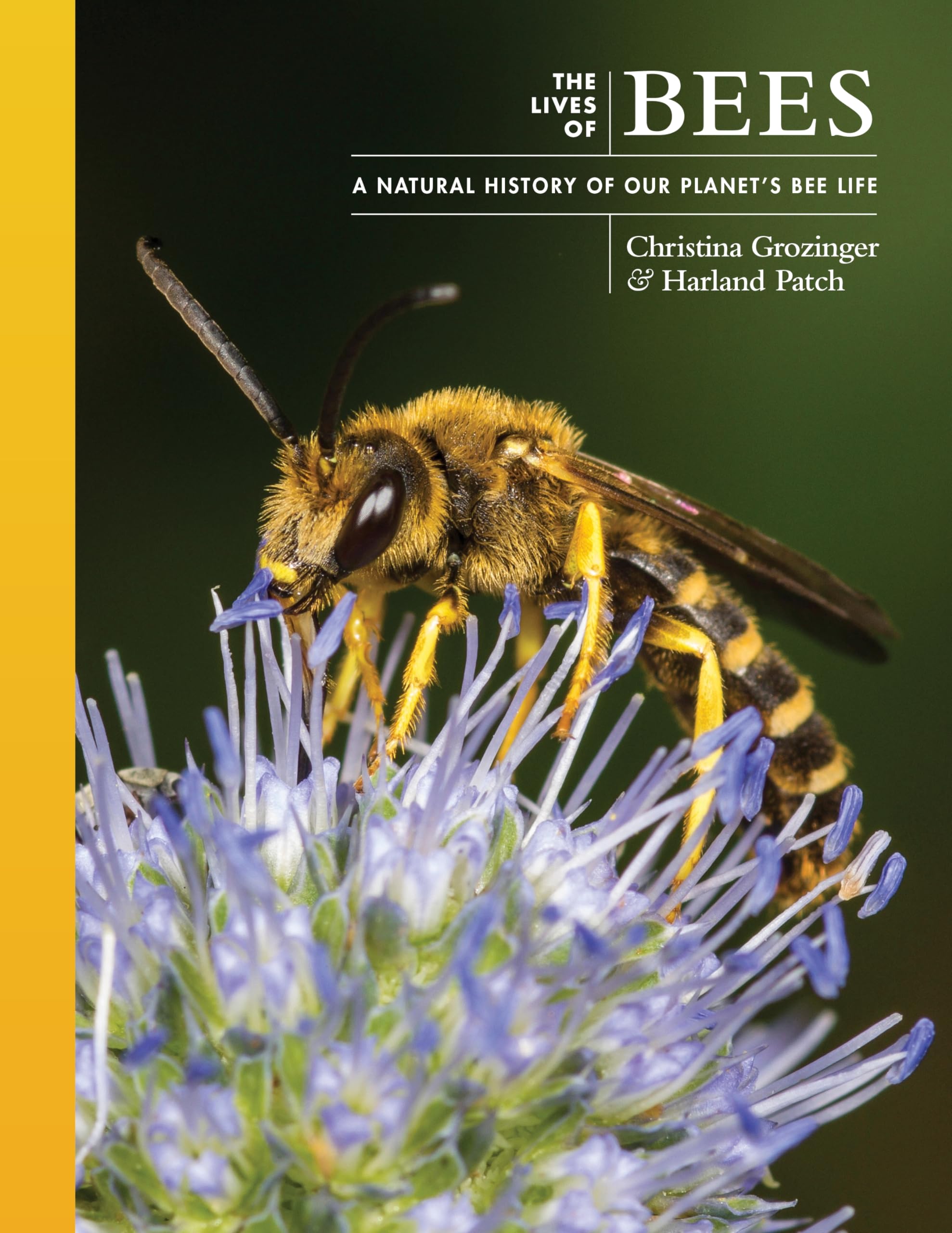The Lives of Bees: A Natural History of Our Planet's Bee Life (Lives of the Natural World) Mathematics