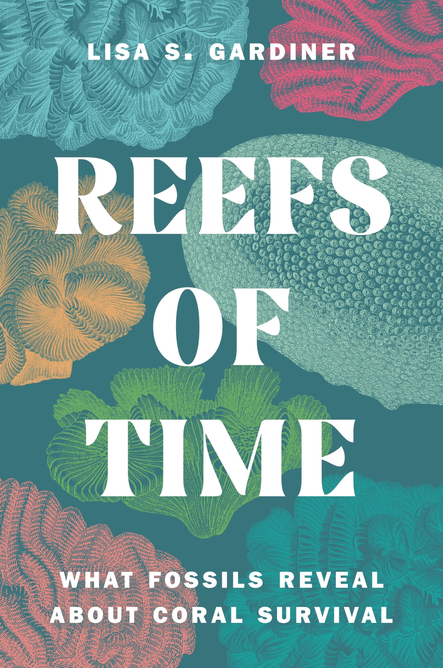 Reefs of Time: What Fossils Reveal About Coral Survival Business & Technology