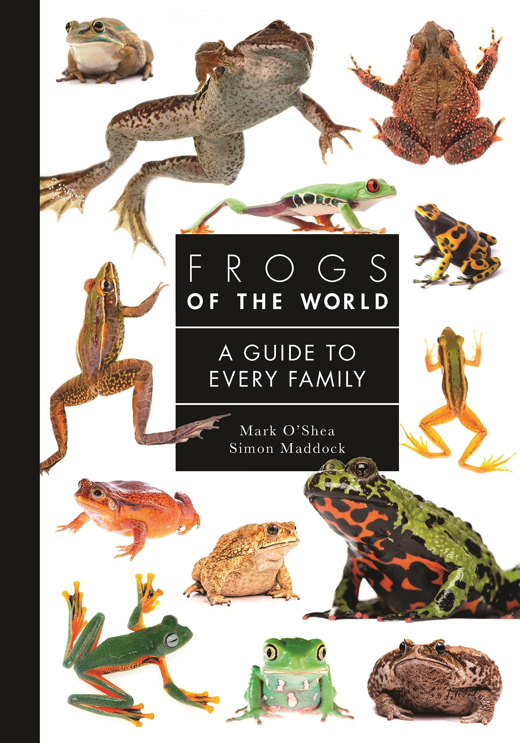 Frogs of the World: A Guide to Every Family Mathematics