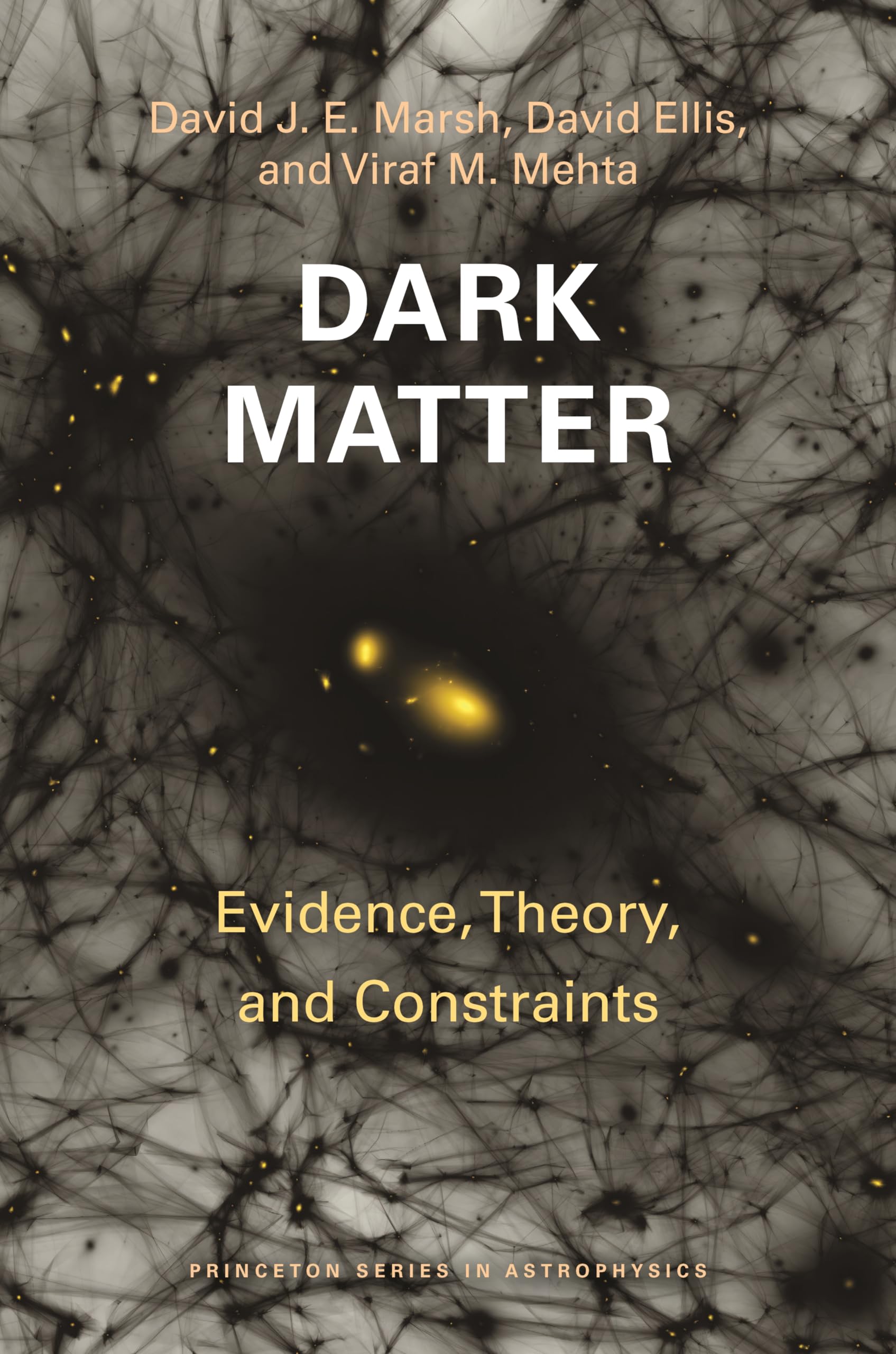 Dark Matter: Evidence, Theory, and Constraints (Princeton in Astrophysics) Natural Sciences