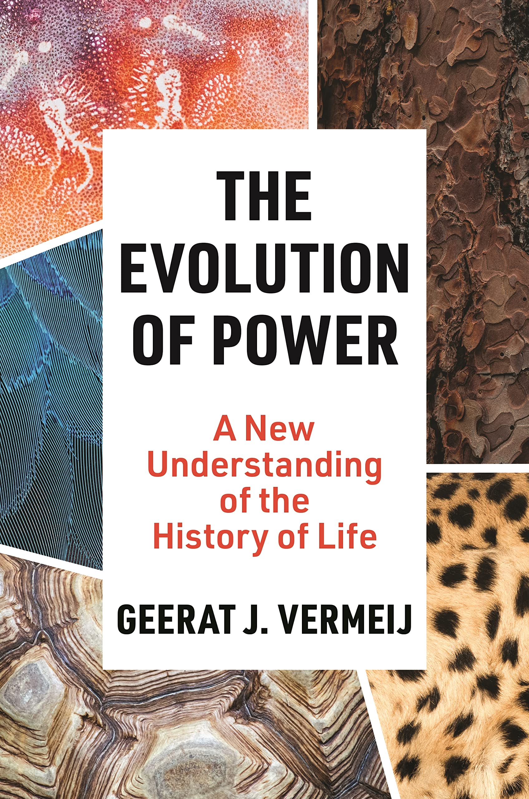 The Evolution of Power: A New Understanding of the History of Life Natural Sciences