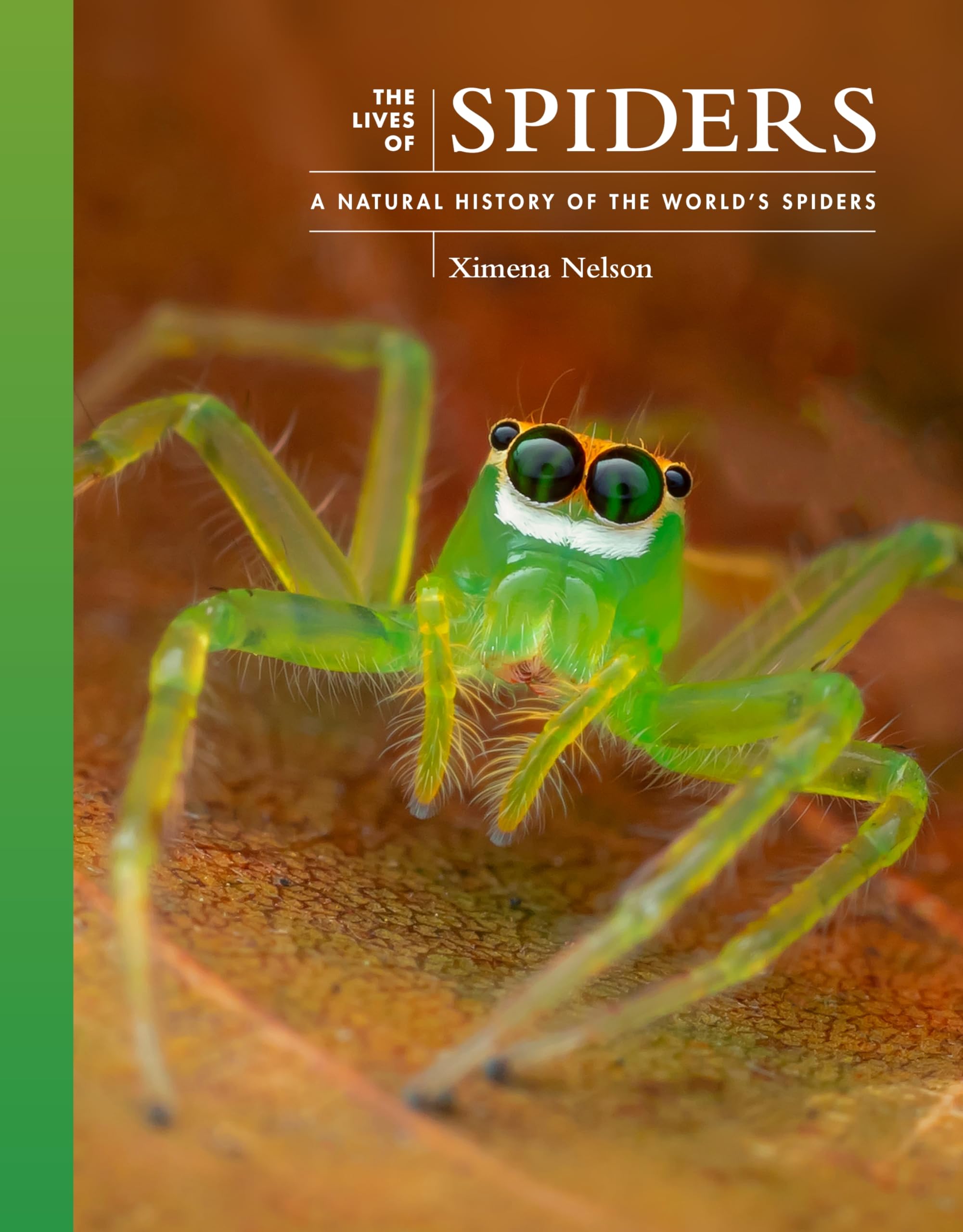 The Lives of Spiders: A Natural History of the World's Spiders (Lives of the Natural World) Mathematics