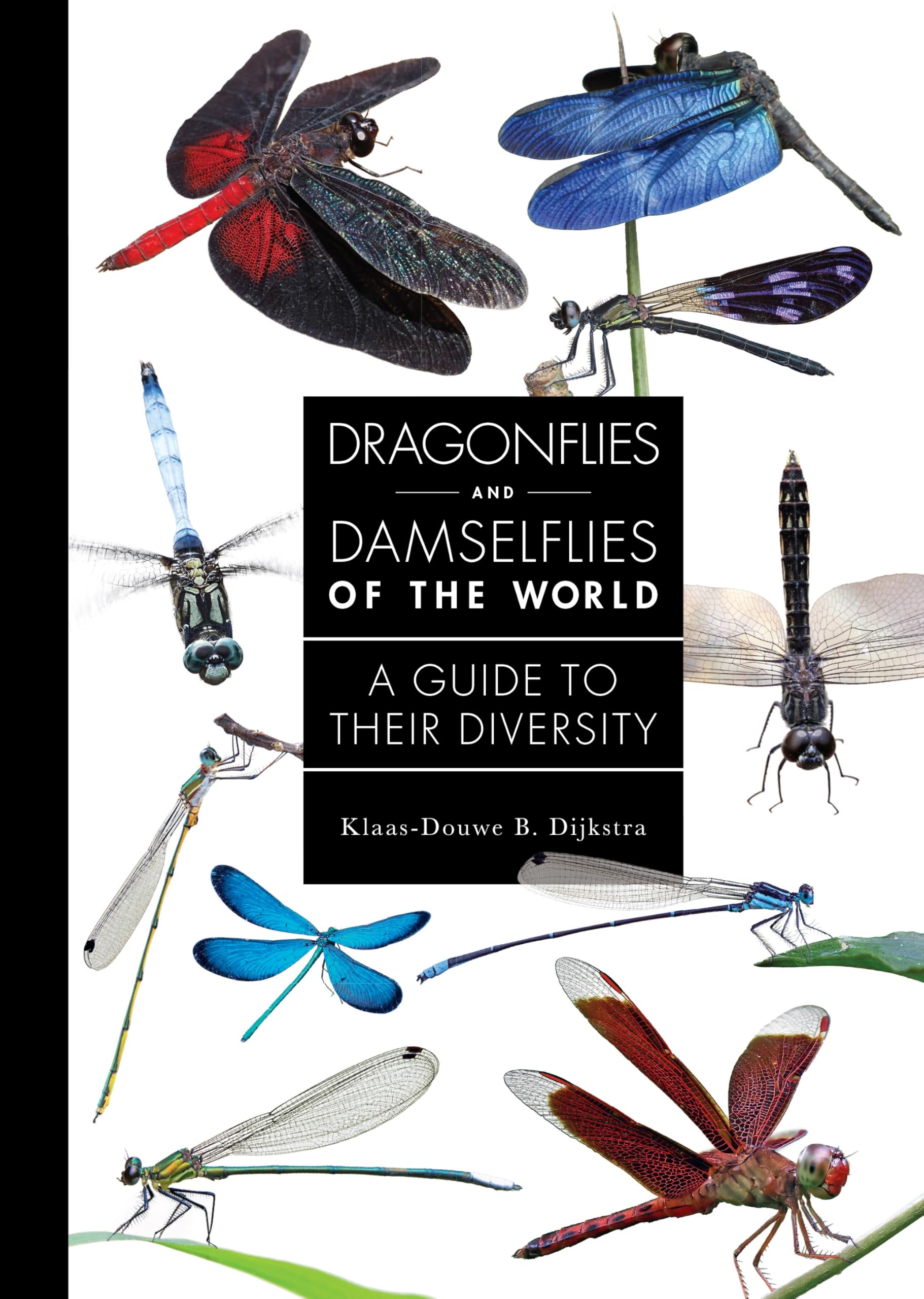 Dragonflies and Damselflies of the World: A Guide to Their Diversity (Guides to Every Family) Mathematics