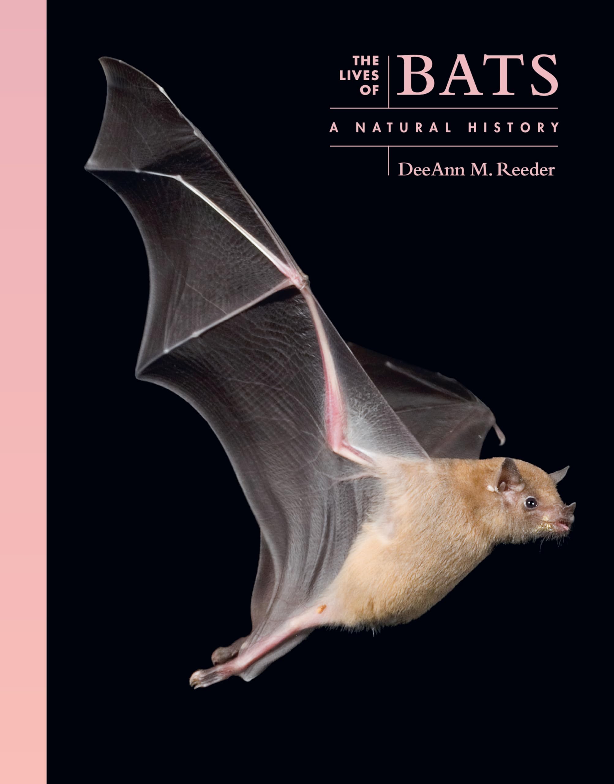The Lives of Bats: A Natural History (Lives of the Natural World) Mathematics