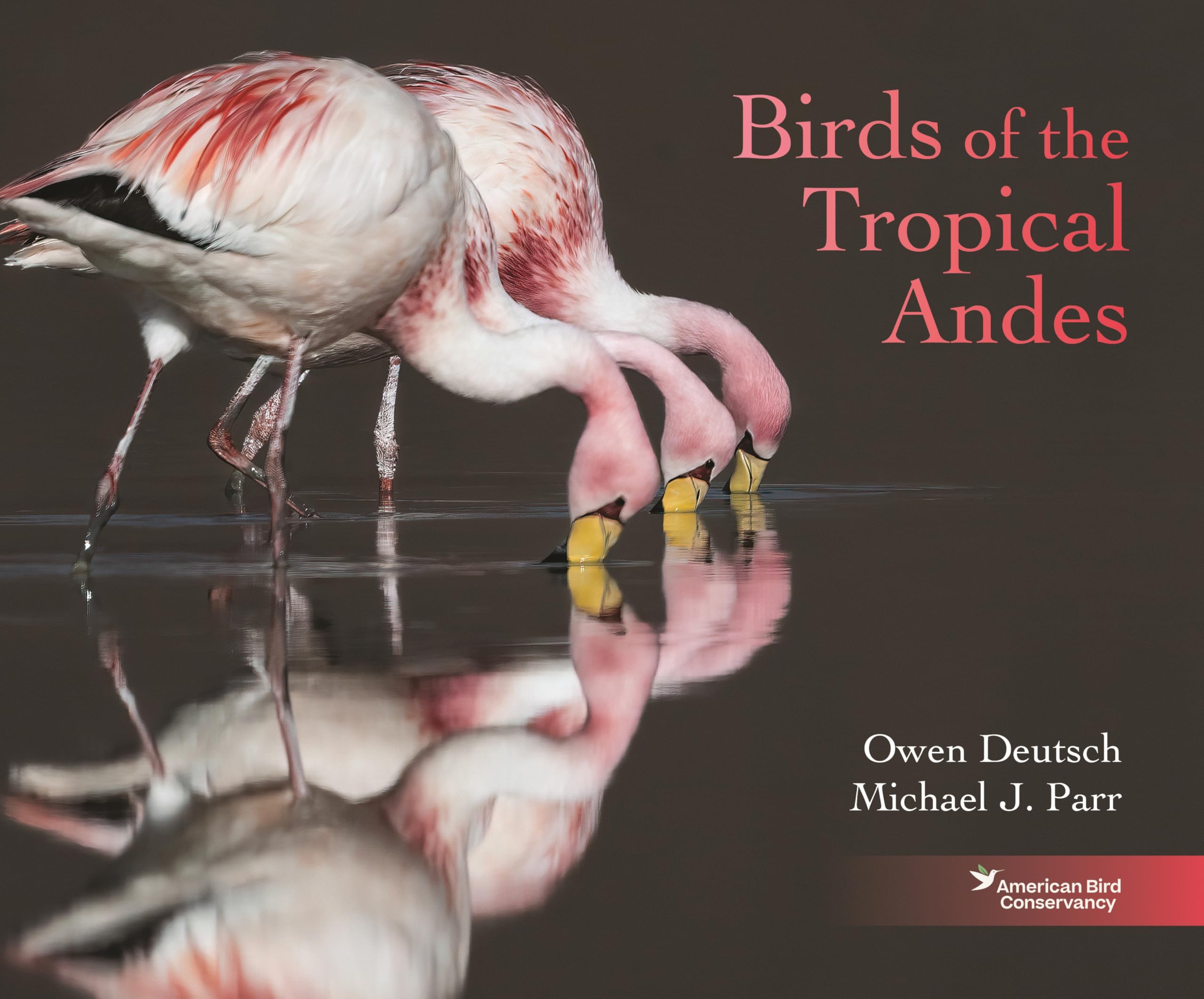 Birds of the Tropical Andes Geology & Geography