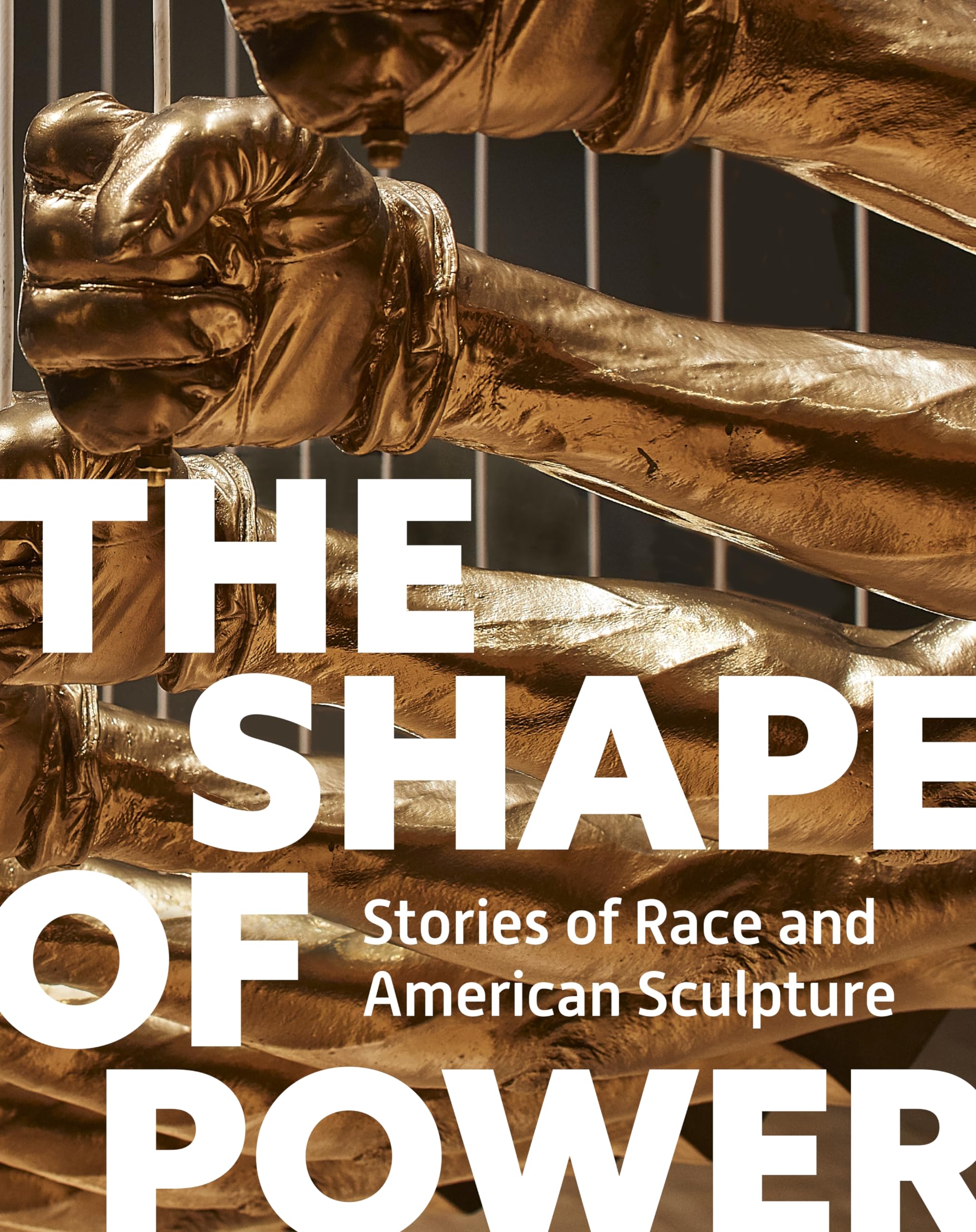 The Shape of Power: Stories of Race and American Sculpture Books
