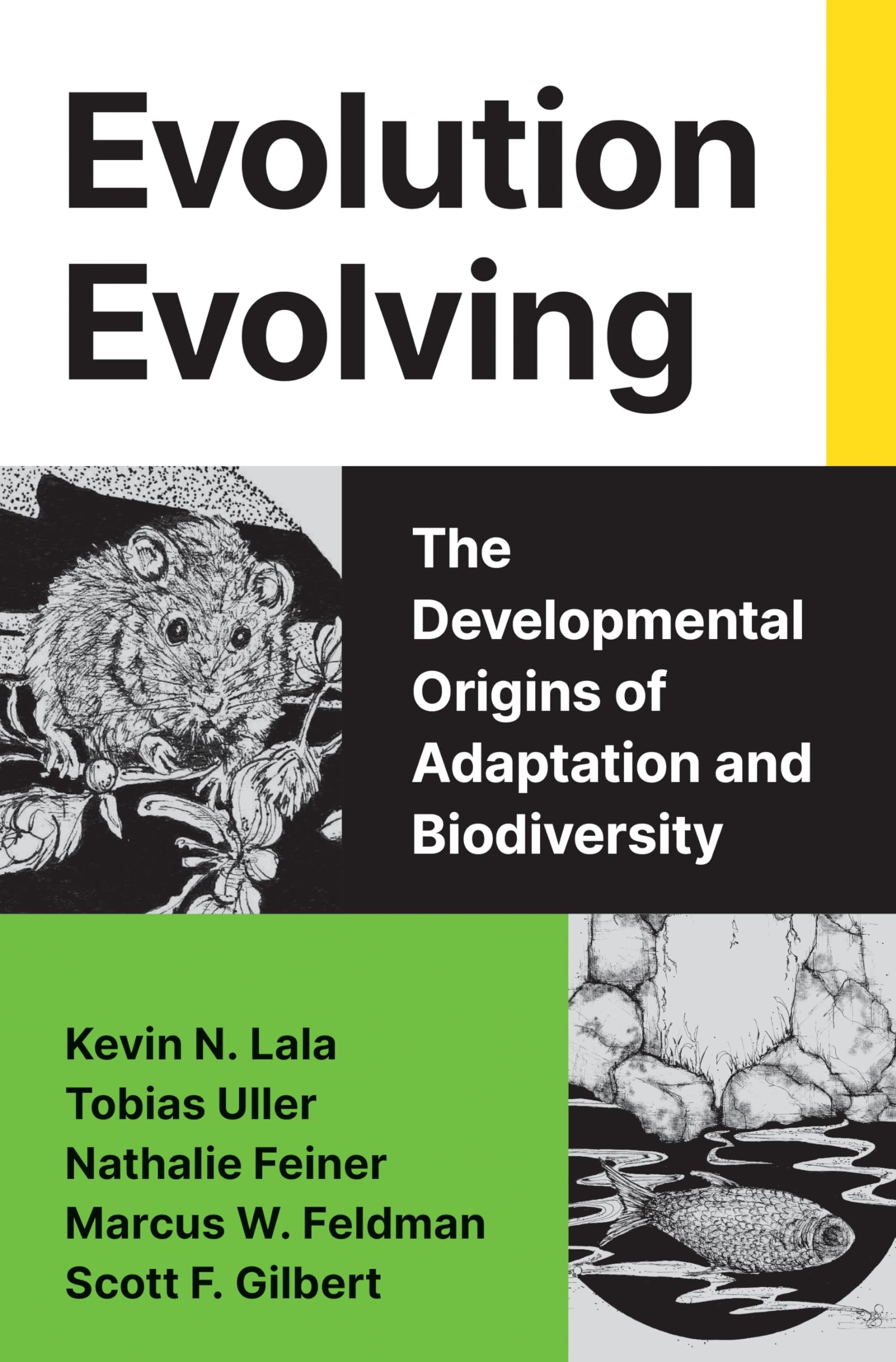 Evolution Evolving Business & Technology