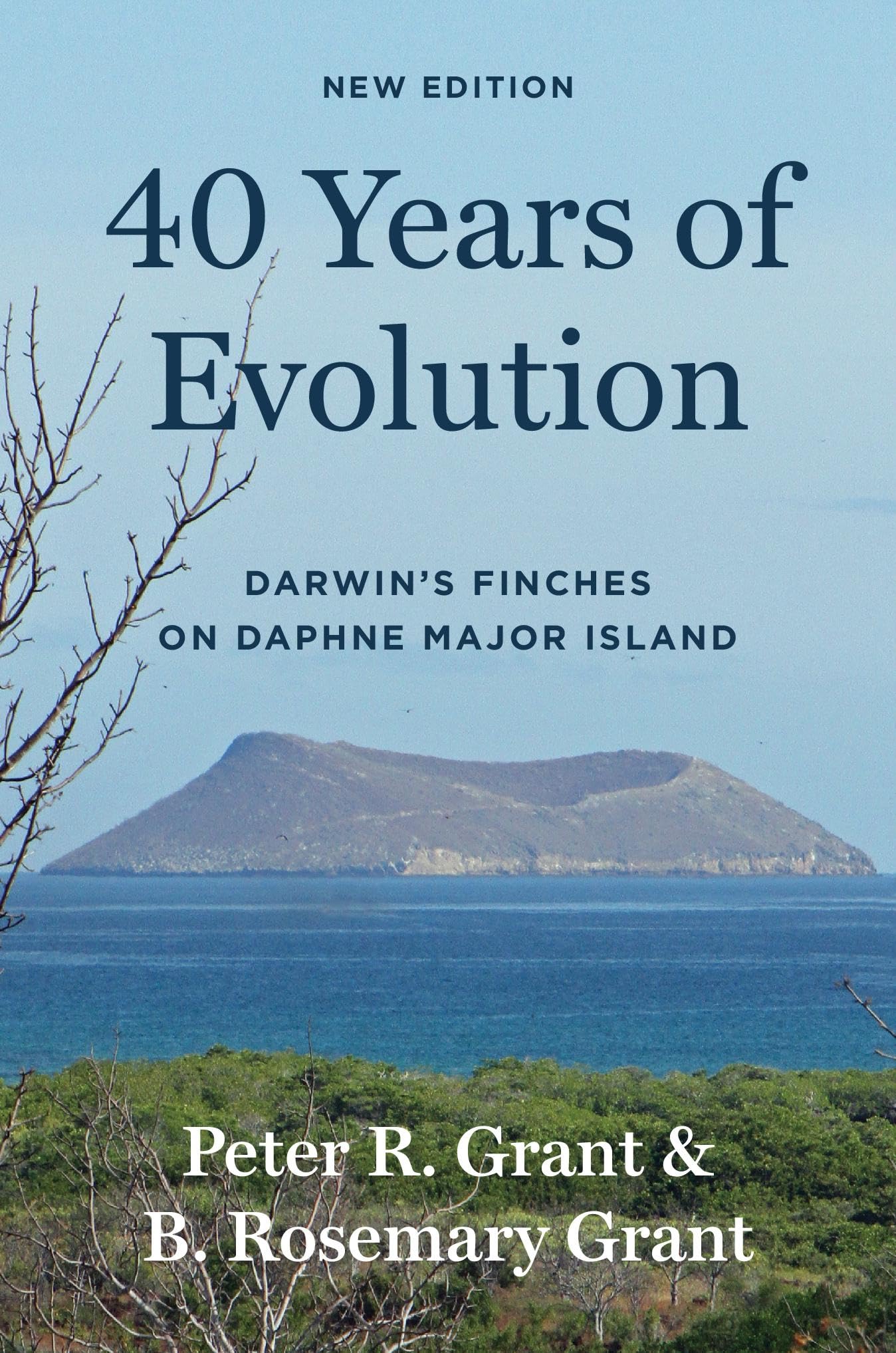 40 Years of Evolution: Darwin's Finches on Daphne Major Island Mathematics