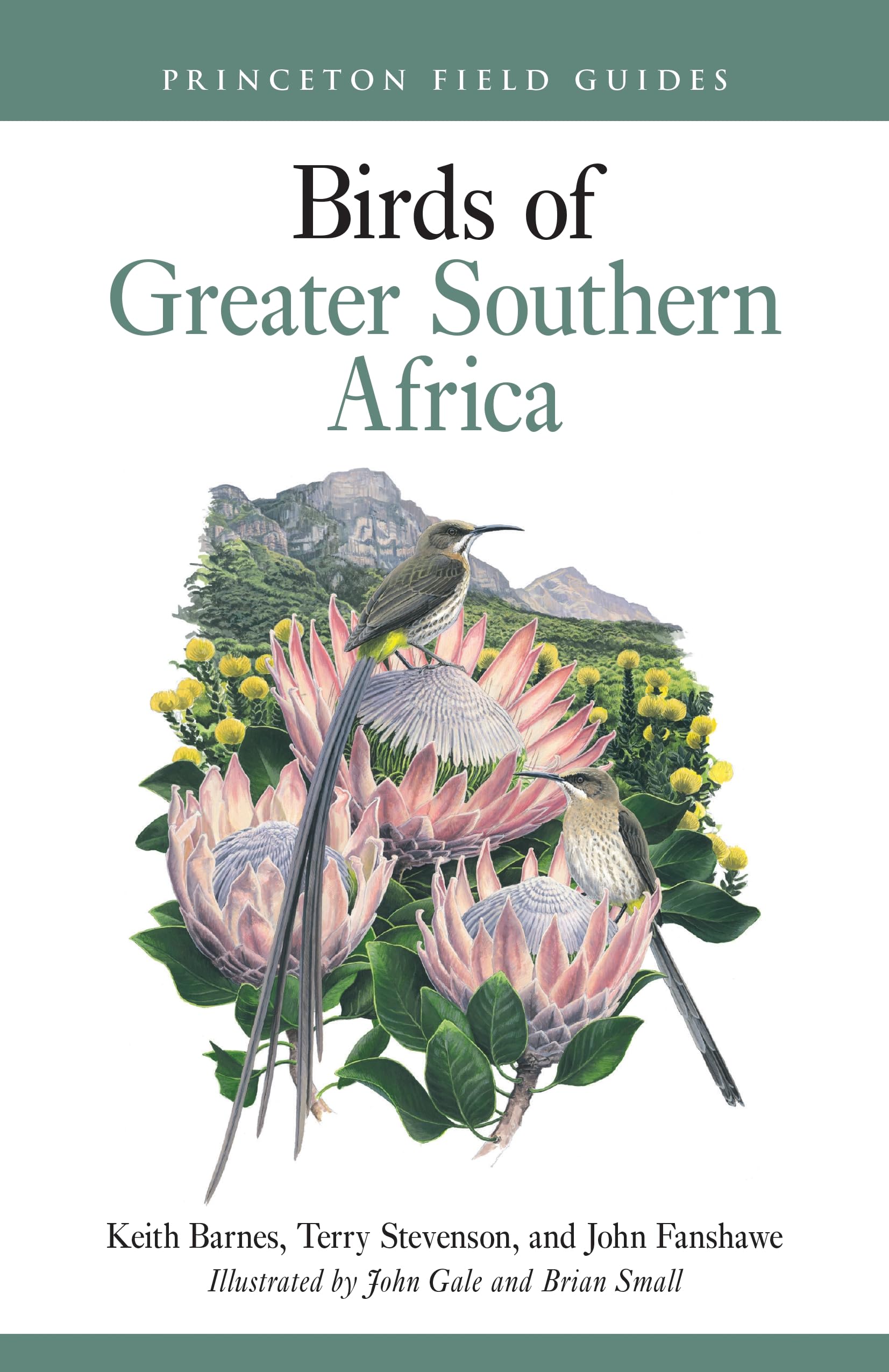 Birds of Greater Southern Africa (Princeton Field Guides) Mathematics