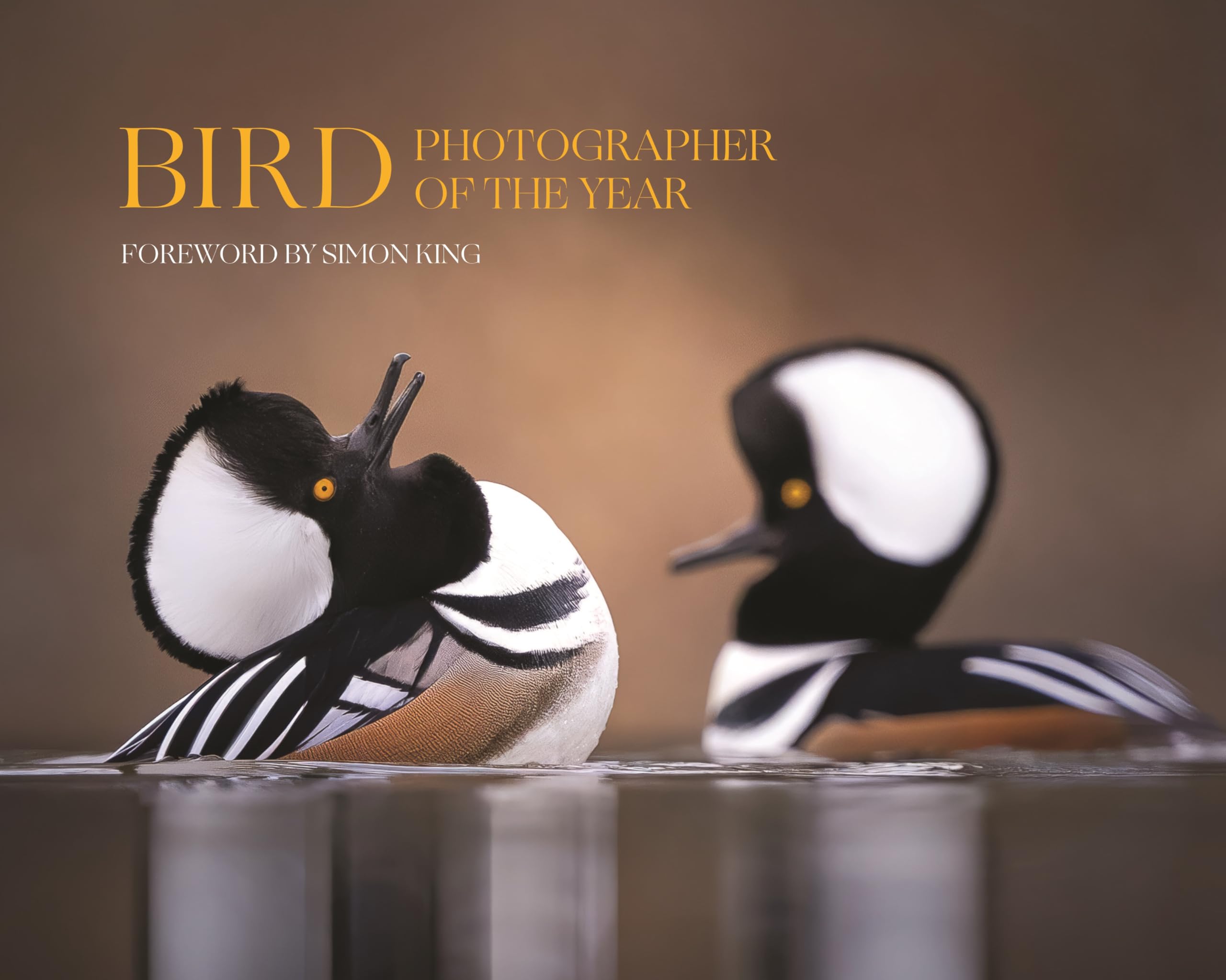 Bird Photographer of the Year: Collection 9 Mathematics