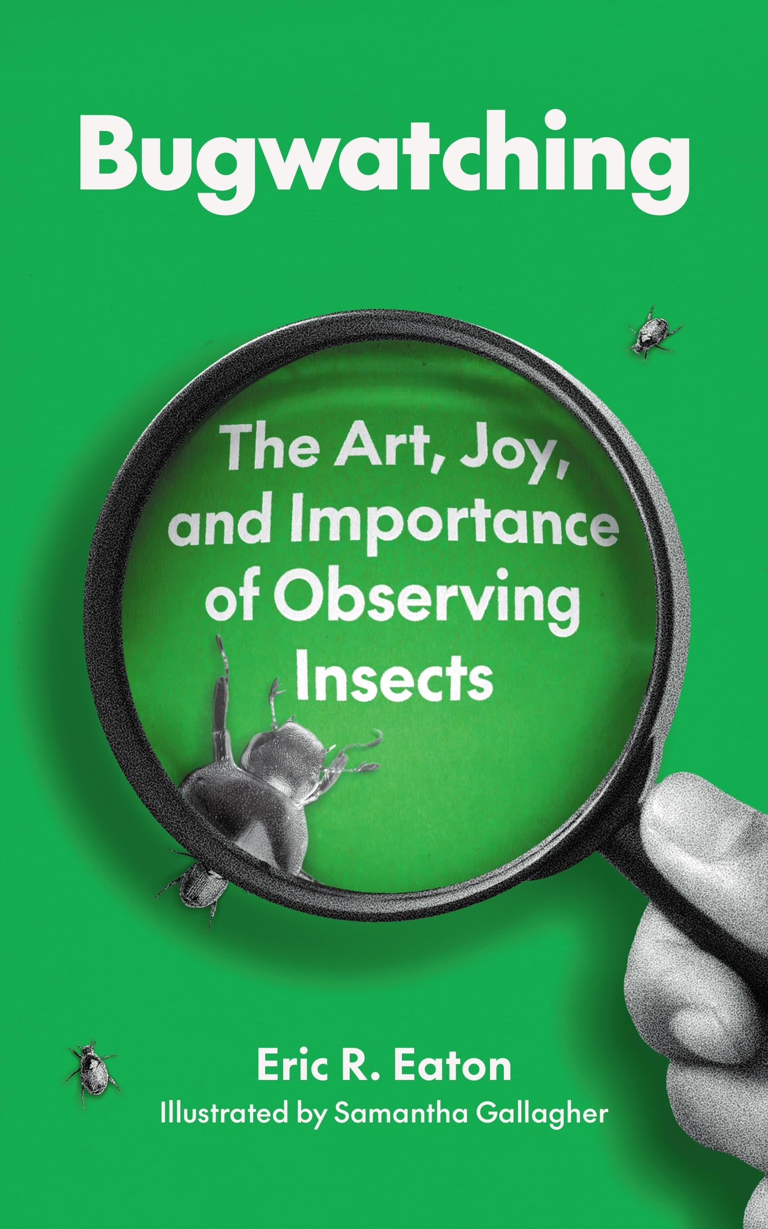 Bugwatching: The Art, Joy, and Importance of Observing Insects Mathematics