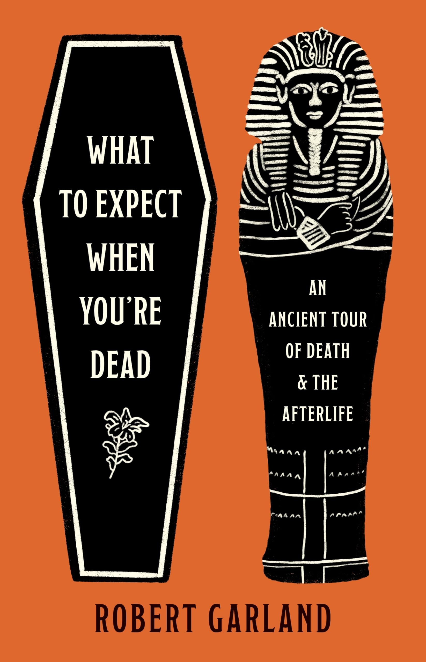 Product Image: What to Expect When You're Dead