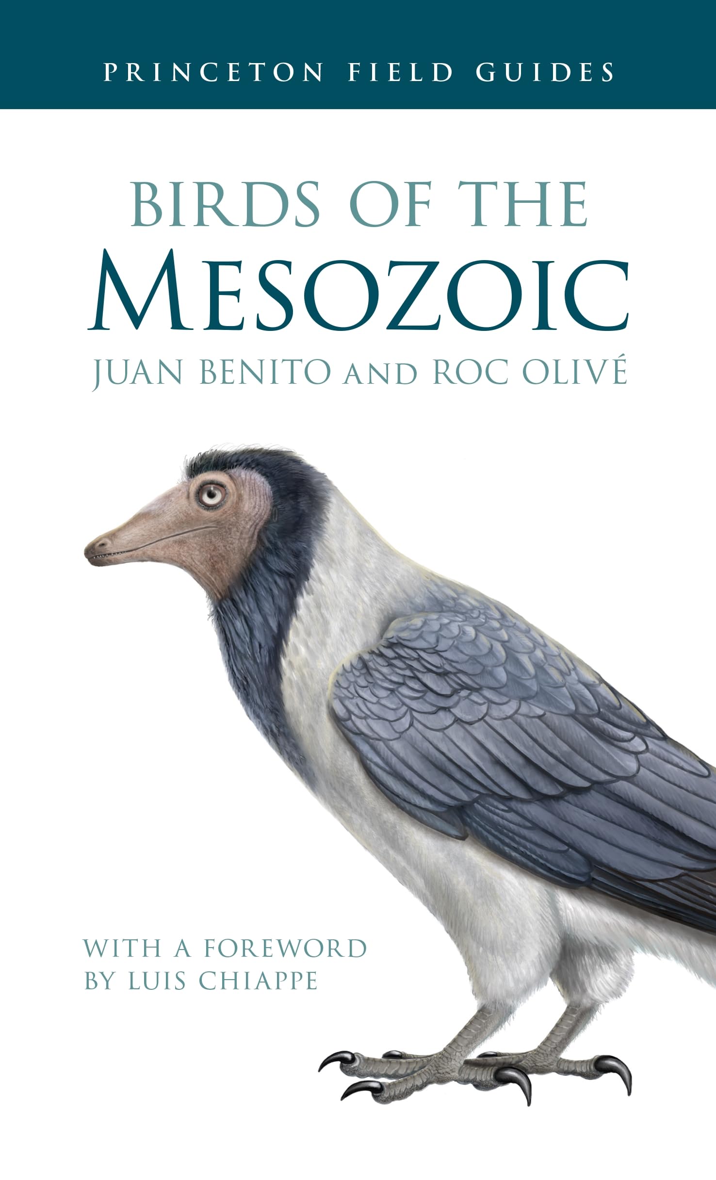 Birds of the Mesozoic Mathematics