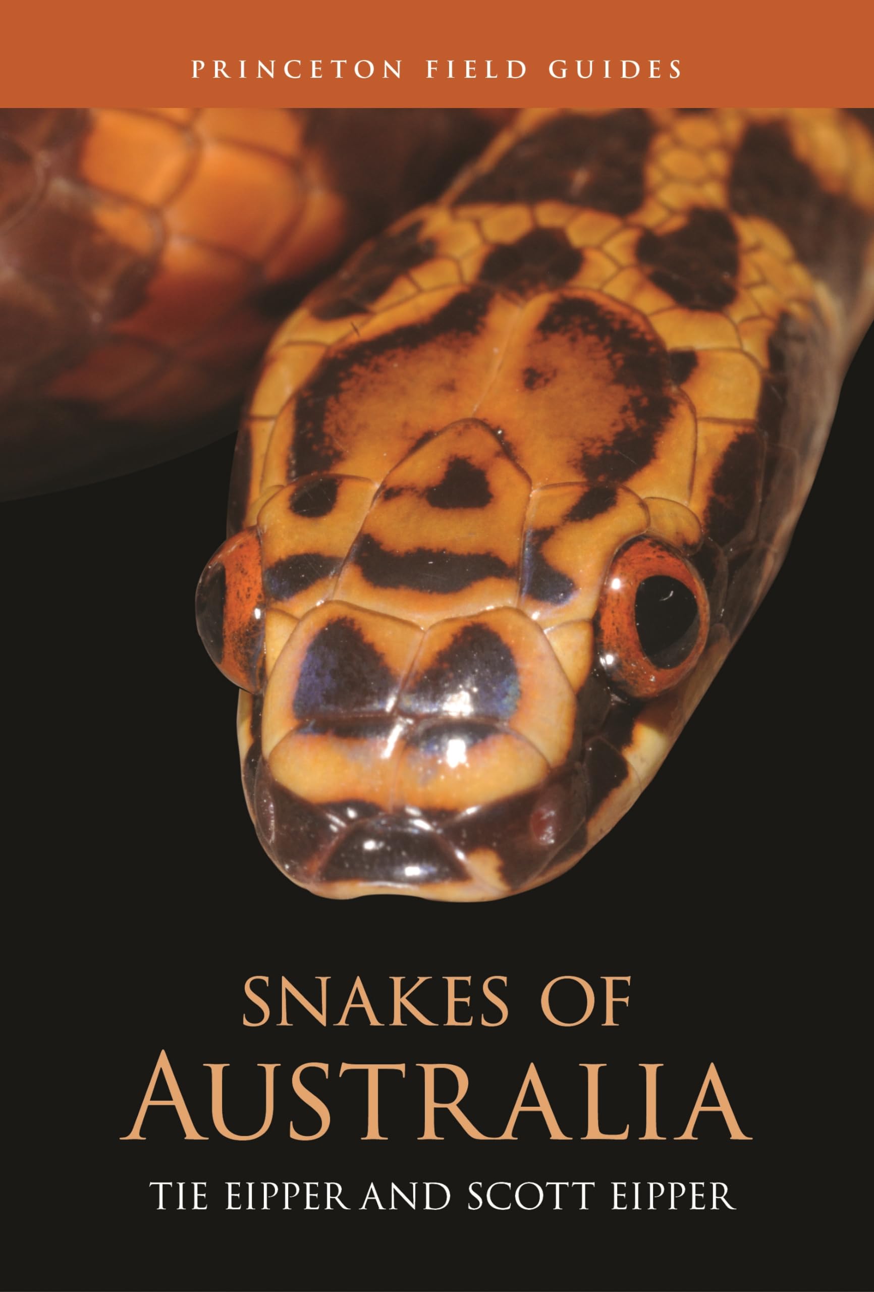 Snakes of Australia (Princeton Field Guides) Mathematics
