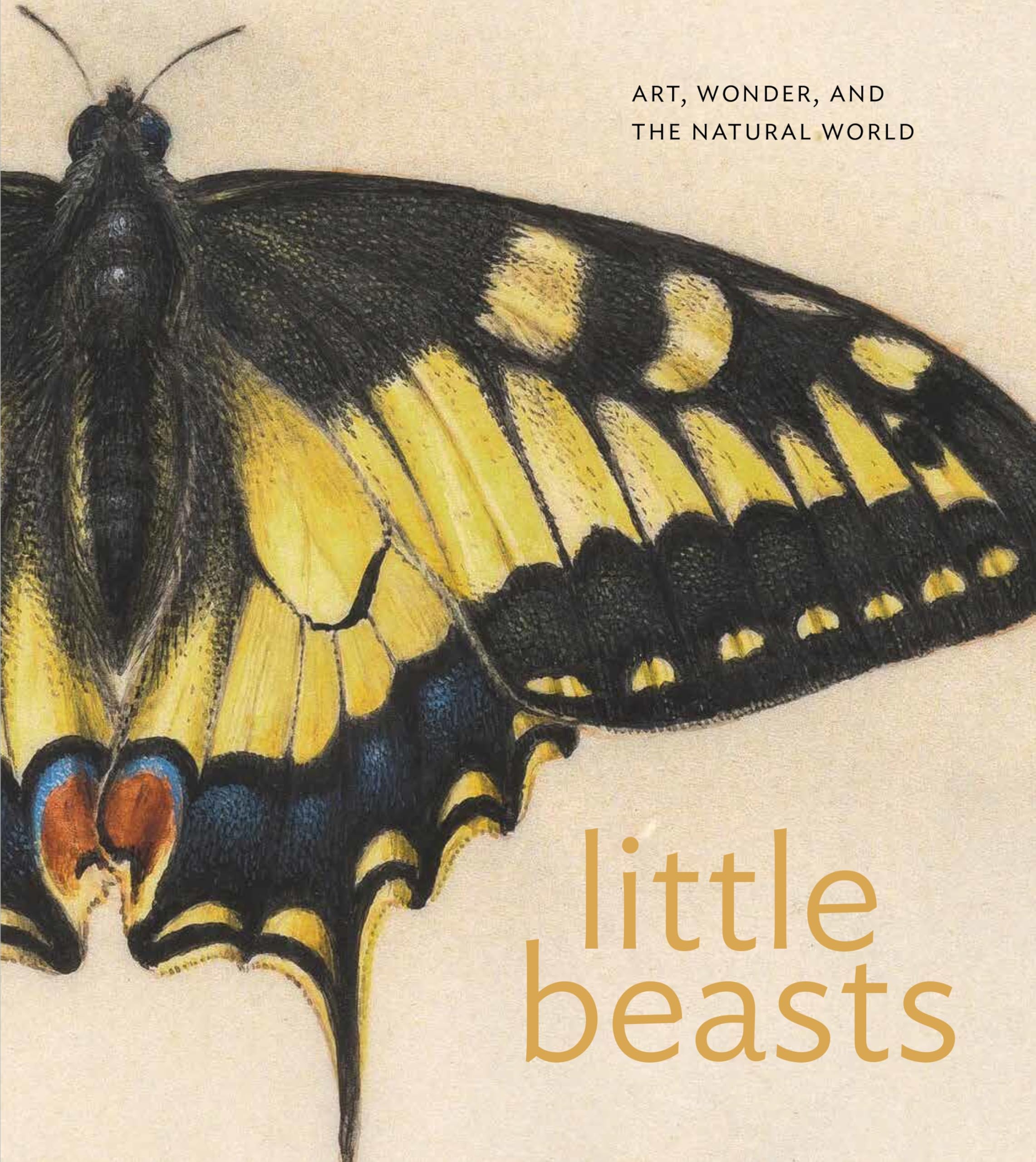 Little Beasts: Art, Wonder and the Natural World; Guilded Edged Mathematics
