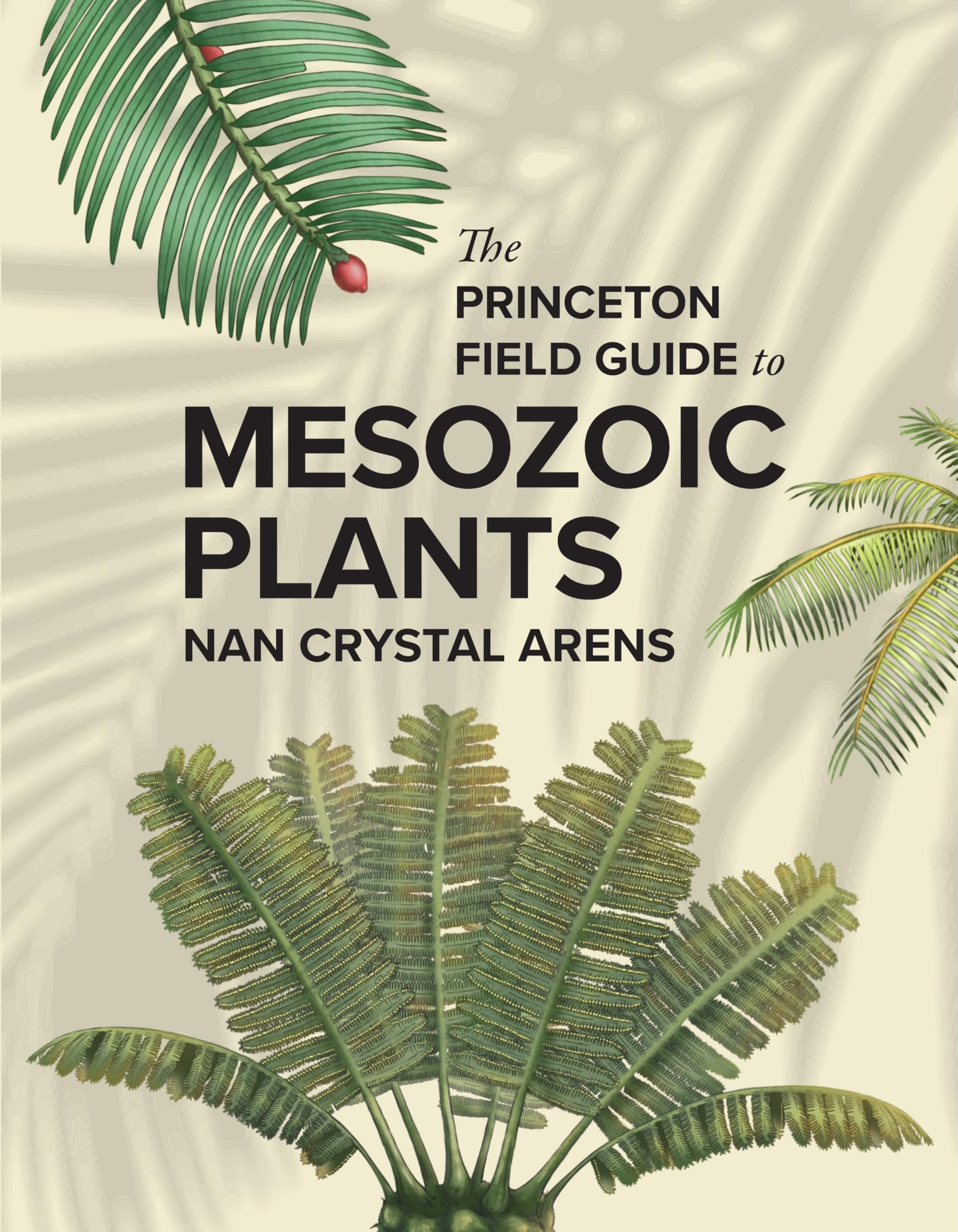 The Princeton Field Guide to Mesozoic Plants Mathematics