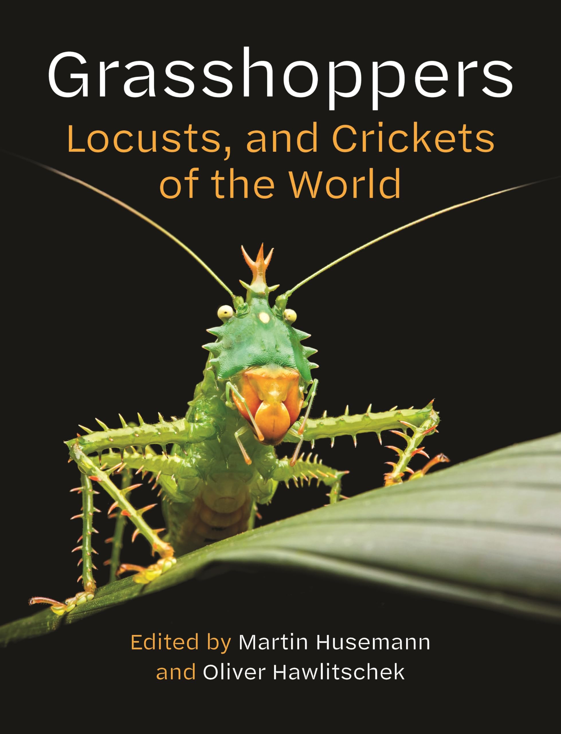 Grasshoppers, Locusts, and Crickets of the World Mathematics