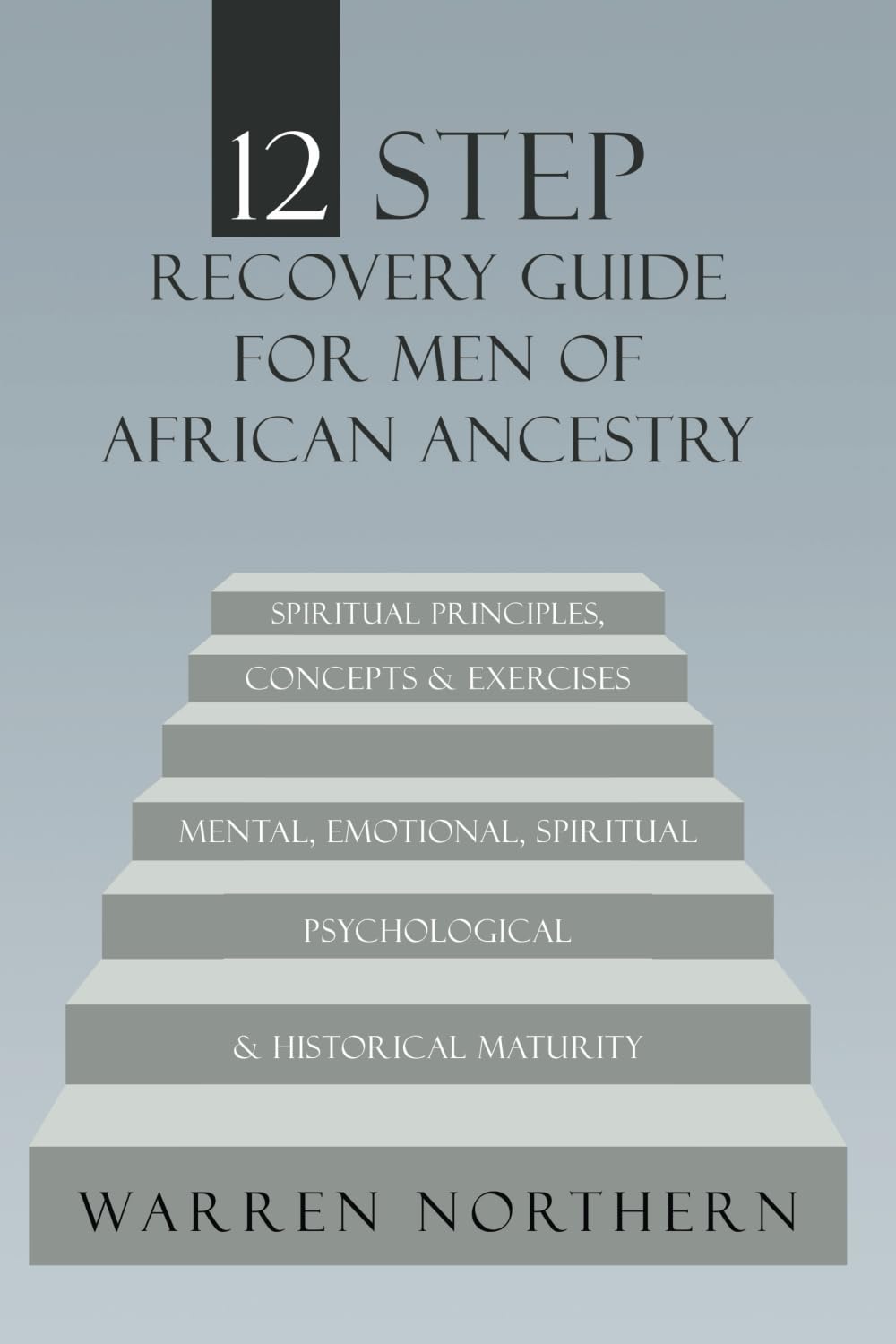 12 Step Recovery Guide for Men of African Ancestry Business, Finance & Career
