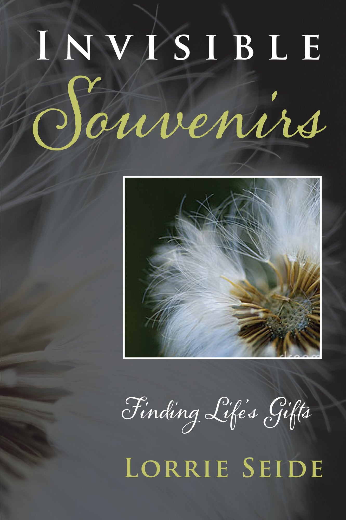 Invisible Souvenirs : Finding Life's Gifts Books