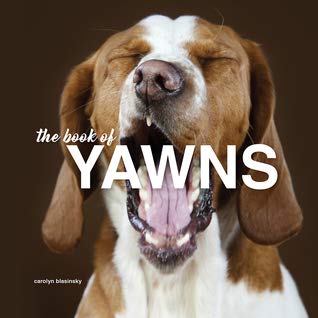 The book of YAWNS Books