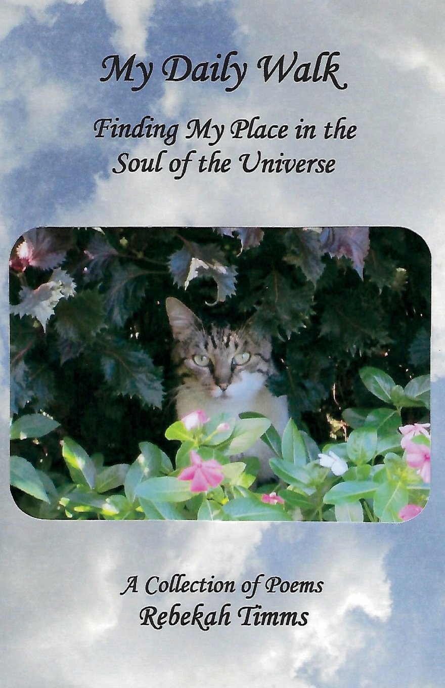 My Daily Walk: Finding My Place in the Soul of the Universe Poetry