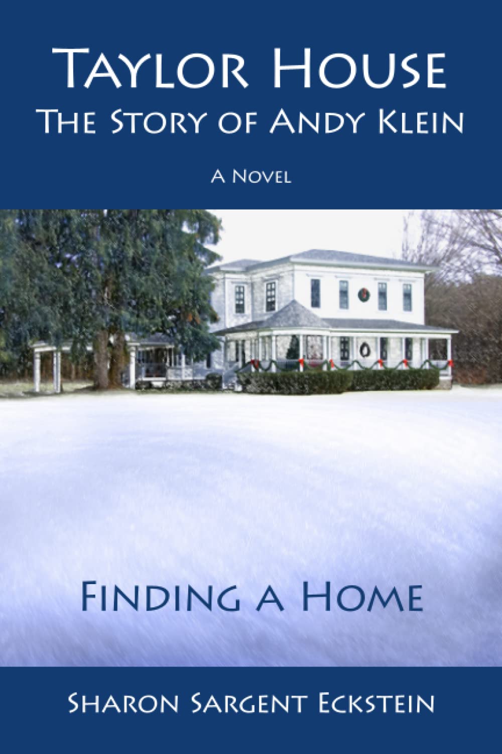 Taylor House - The Story of Andy Klein - Finding a Home Contemporary literature