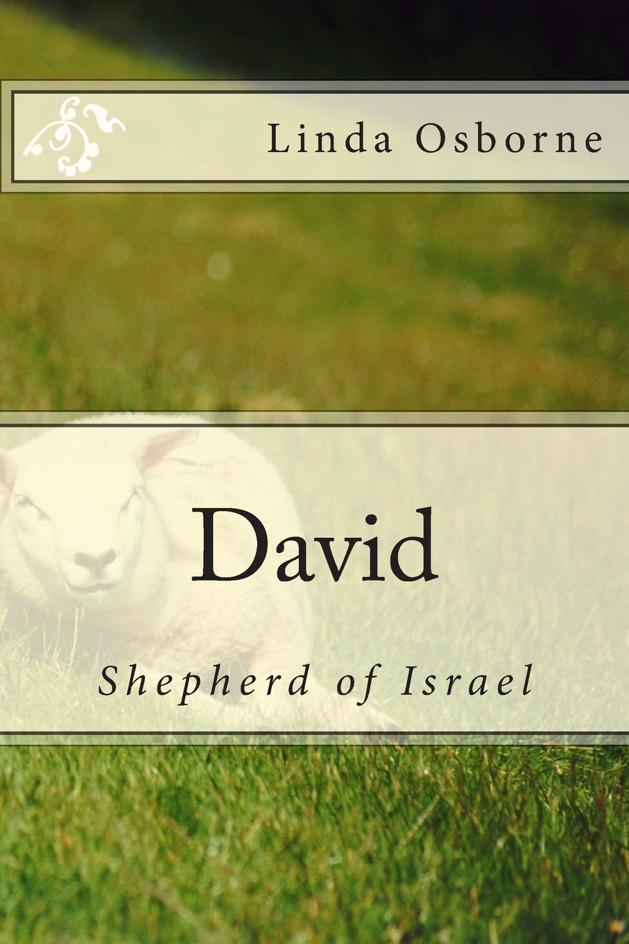David: Shepherd of Israel Religion & Esotericism