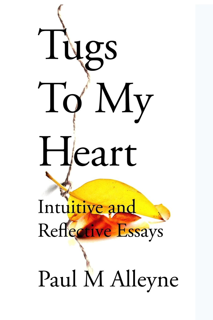 Tugs to My Heart: Intuitive and Reflective Essays Poetry
