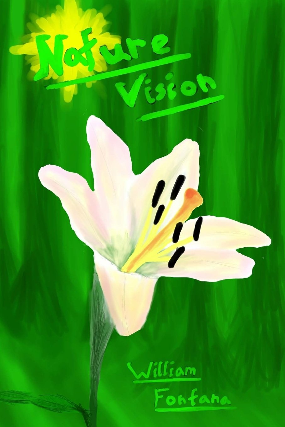 Nature Vision: Gallery Edition (Nature Vision Poems, Band 2) Poetry