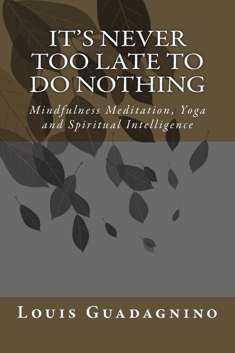 It's Never Too Late To Do Nothing: Mindfulness Meditation, Yoga and Spiritual Intelligence Lifestyle