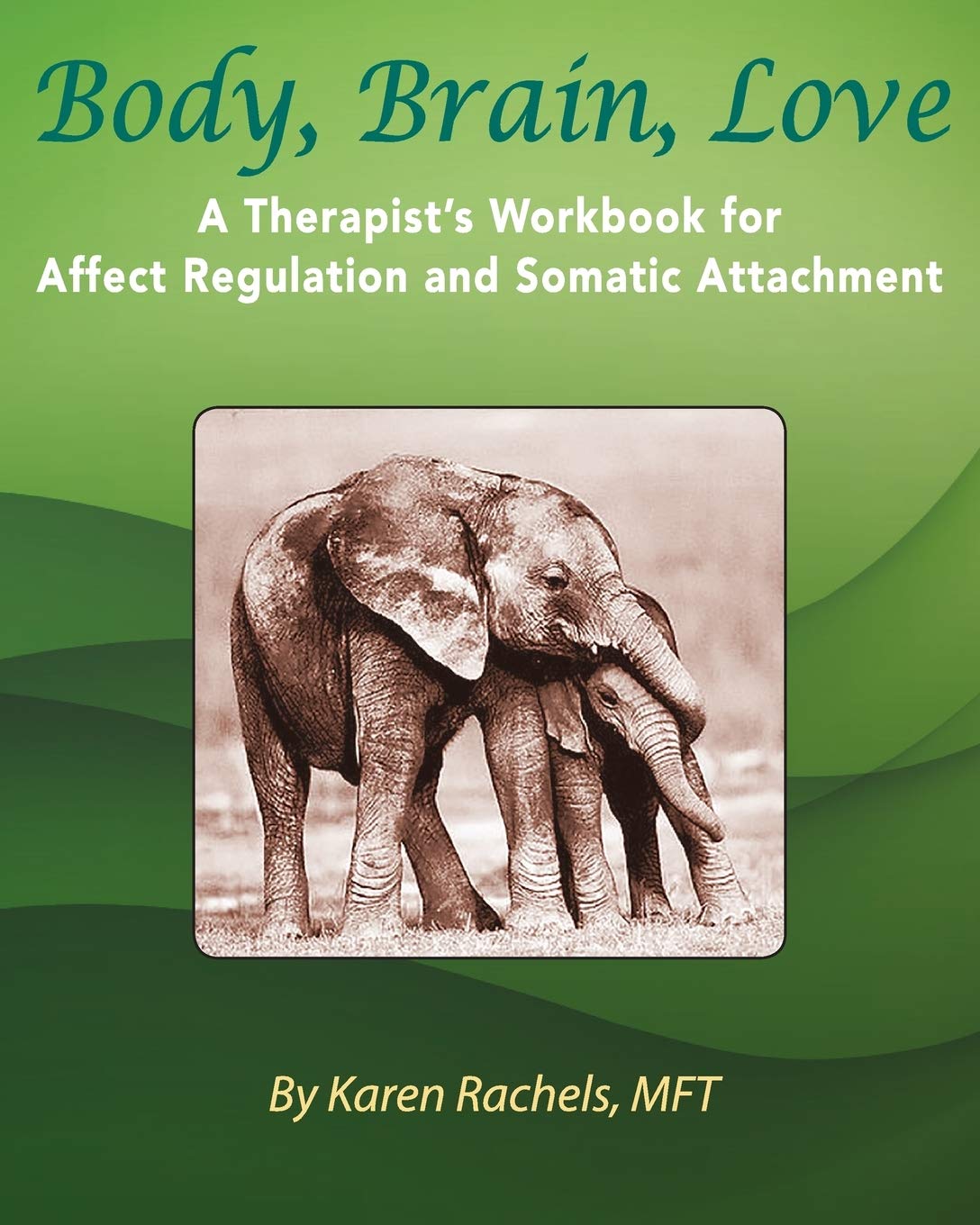 Body, Brain, Love: A Therapist's Workbook for Affect Regulation and Somatic Attachment book