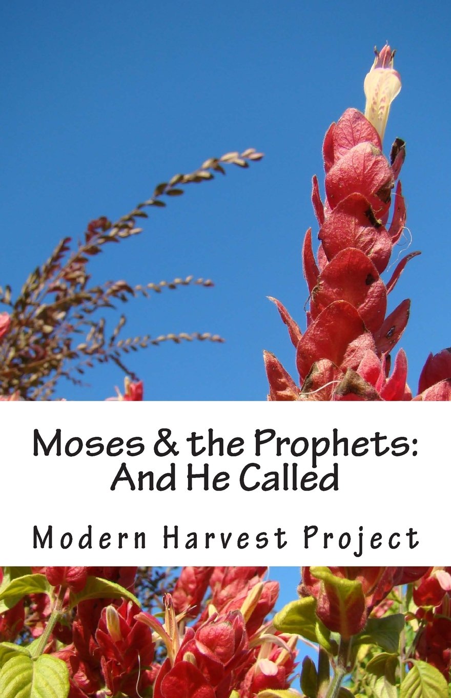 Moses & the Prophets: And He Called: Worship Resource (Parashat HaShavua, Band 3) Religion & Esotericism