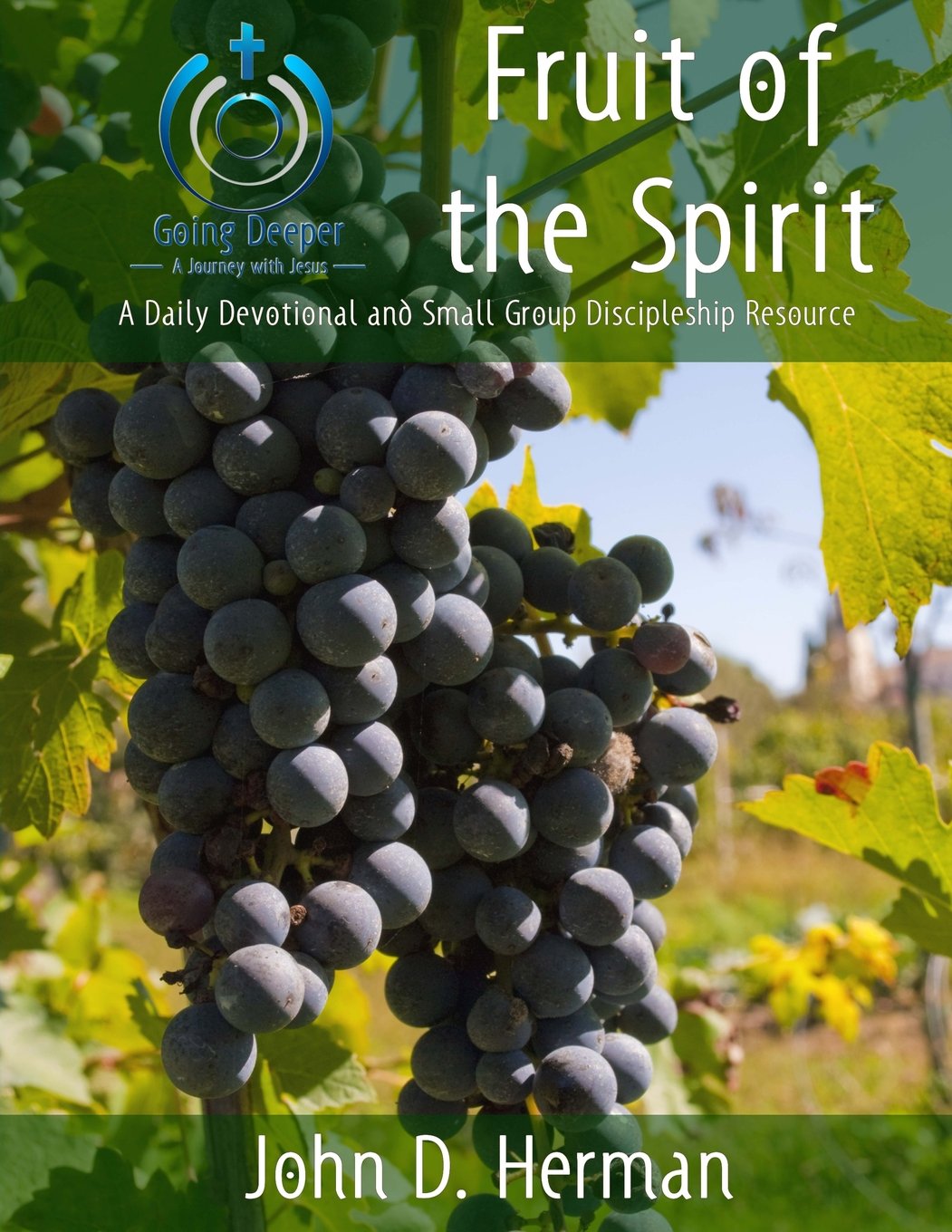 Fruit of the Spirit: A Daily Devotional and Small Group Discipleship Resource (Going Deeper: A Journey with Jesus, Band 4) Religion & Esotericism