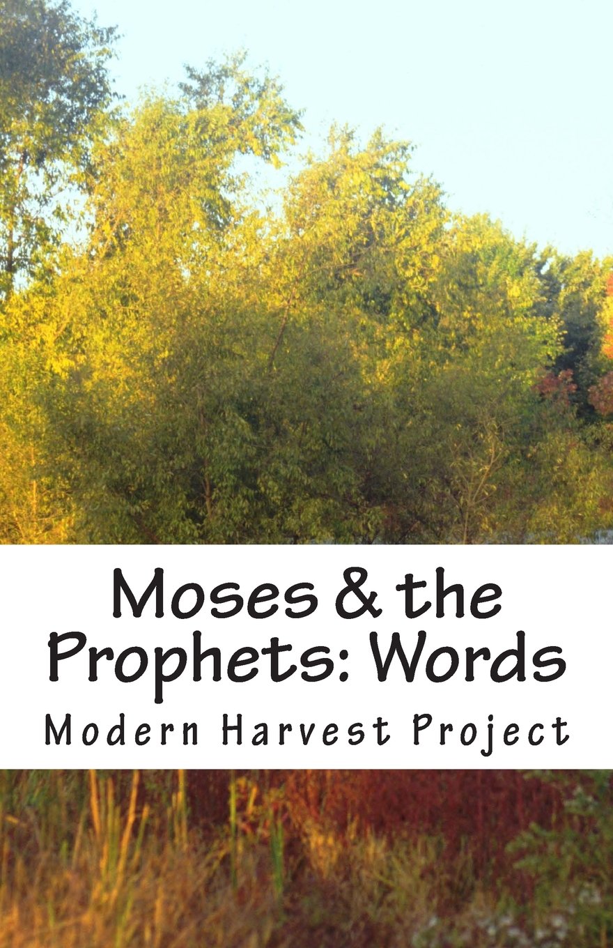 Moses & the Prophets: Words: Worship Resource (Parashat Ha-Shavua, Band 5) Religion & Esotericism