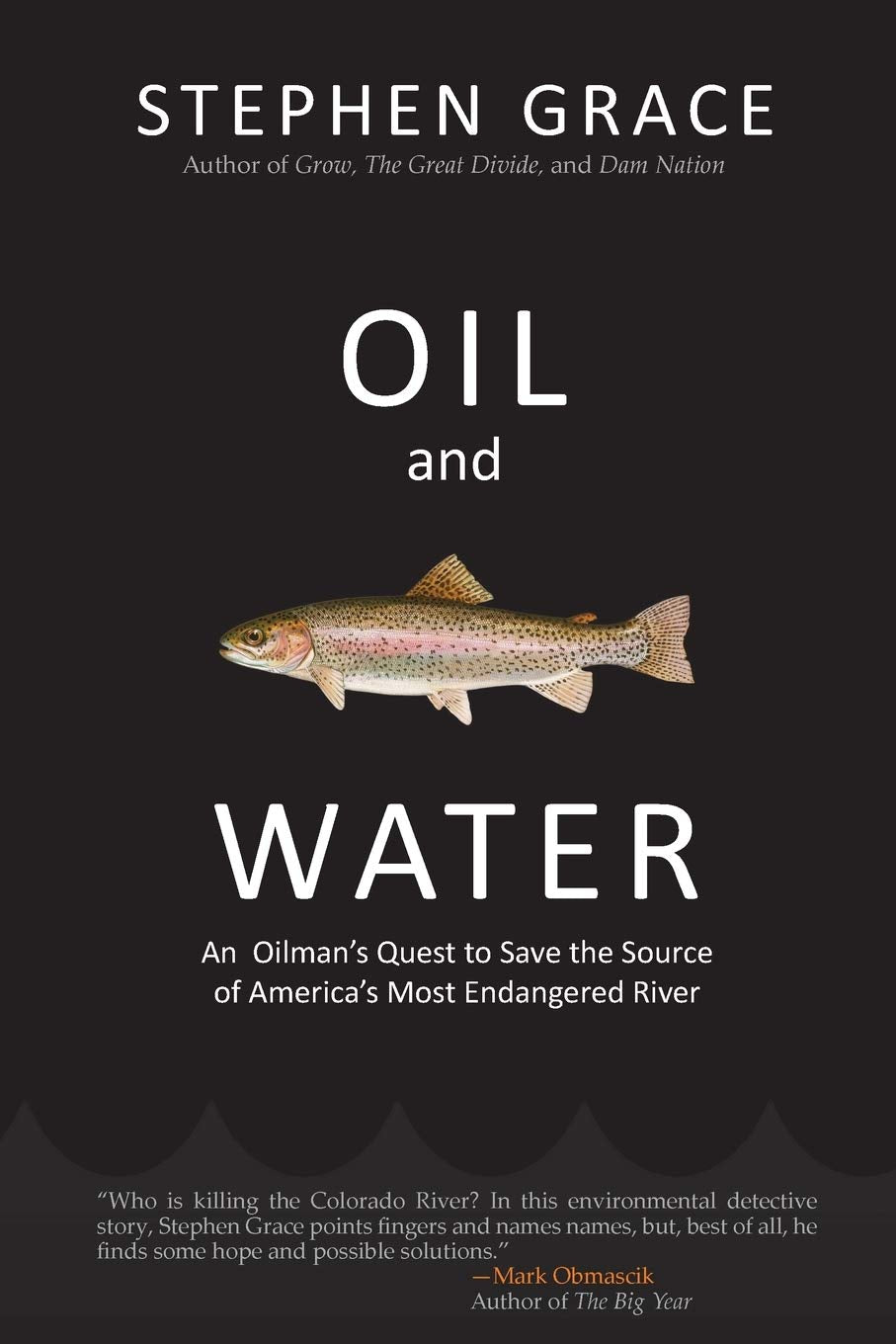 Oil and Water: An Oilman's Quest to Save the Source of America's Most Endangered River Business & Technology