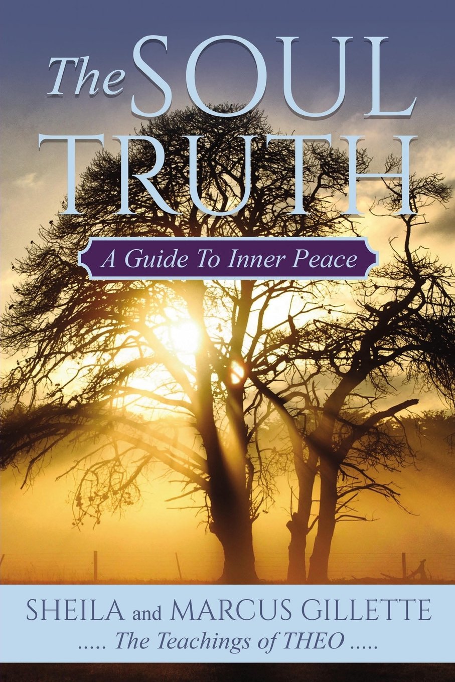 The Soul Truth: A Guide to Inner Peace Social Sciences