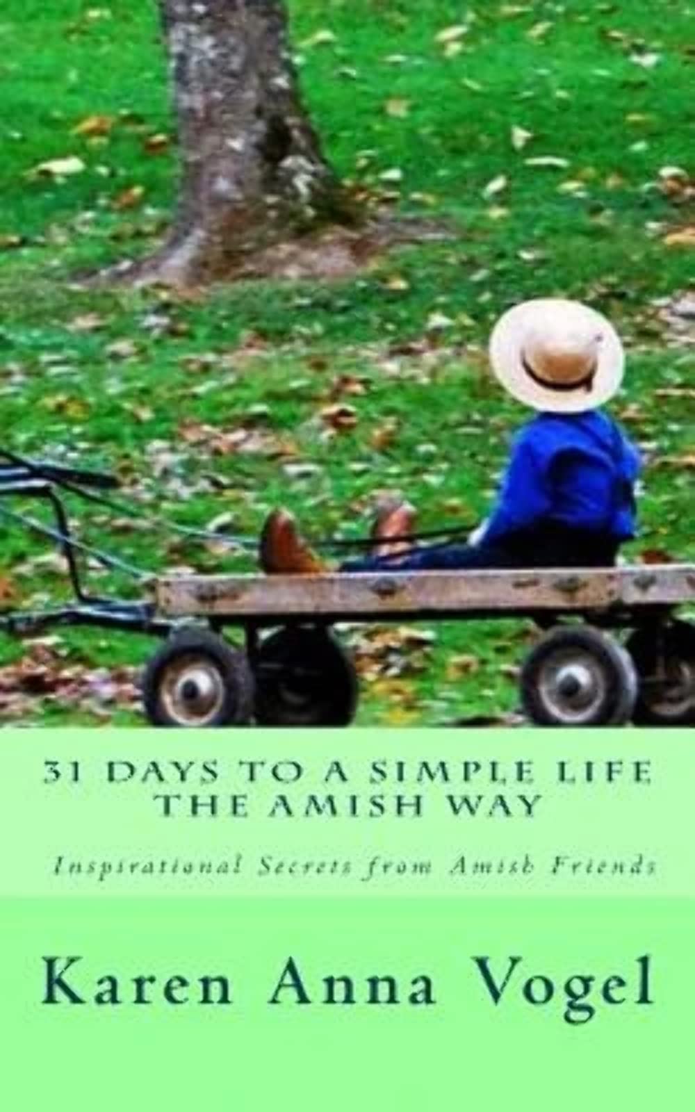 31 Days to a Simple Life The Amish Way book