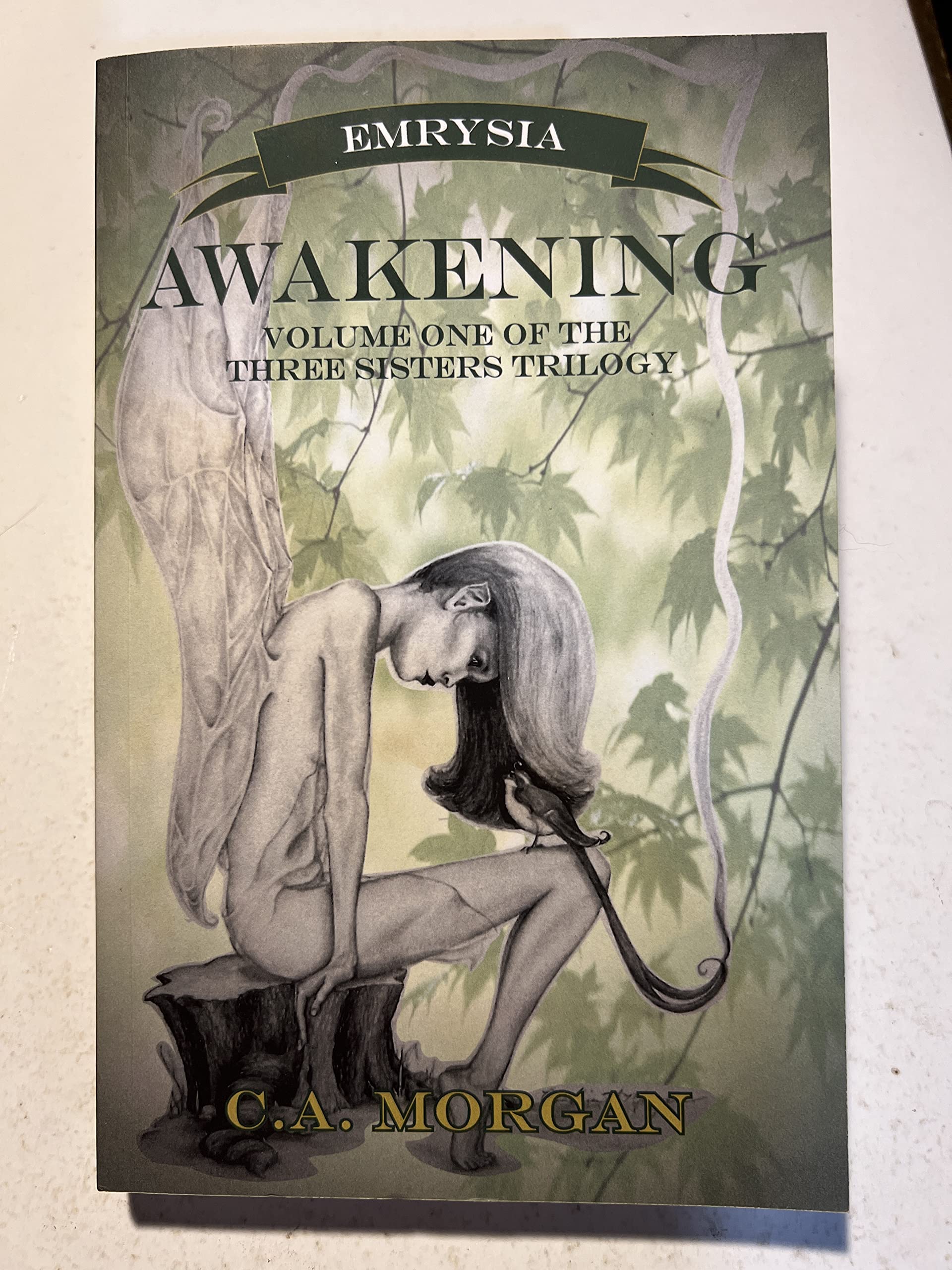 Emrysia Contemporary literature