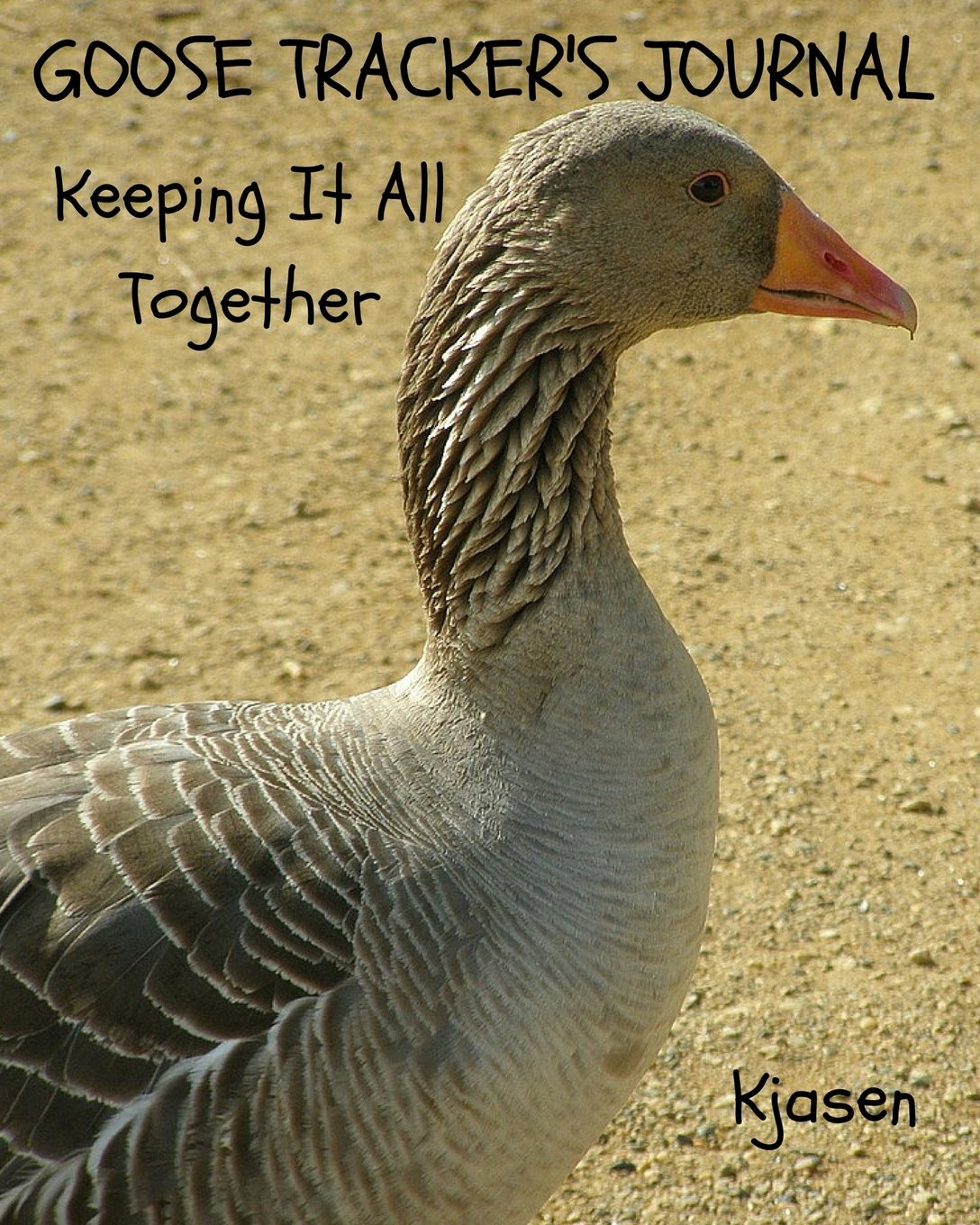 Goose Tracker's Journal:: Keeping It All Together (Tracker Journals, Band 3) Mathematics
