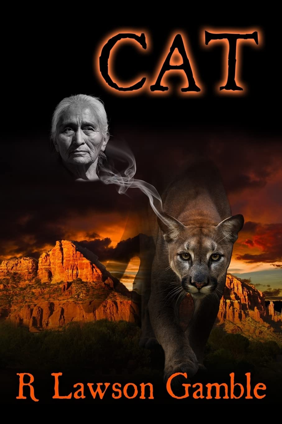 Cat (Zack Tolliver, FBI, Band 4) Contemporary literature
