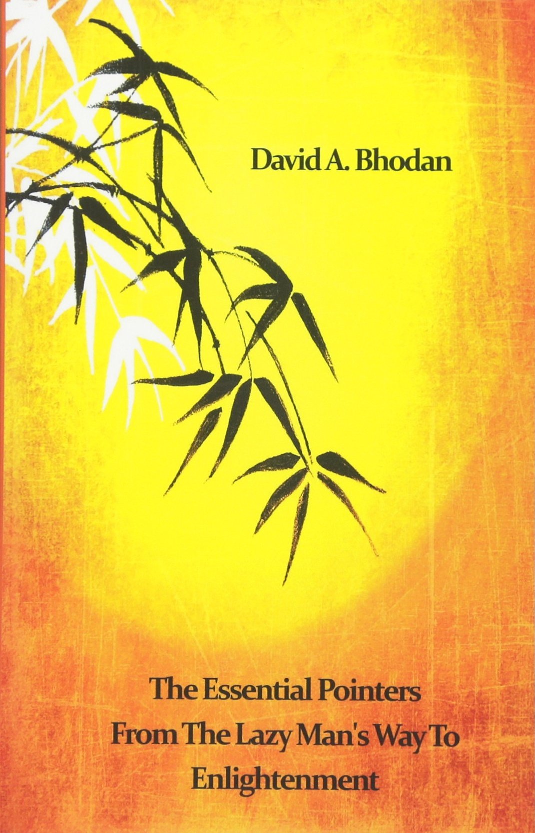 The Essential Pointers From The Lazy Man's Way To Enlightenment Philosophy