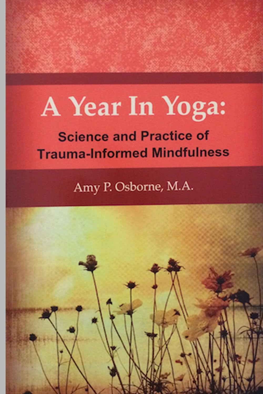 A Year in Yoga: Science and Practice of Trauma-Informed Mindfulness (In Yoga Book Series) Health, Nutrition & Fitness